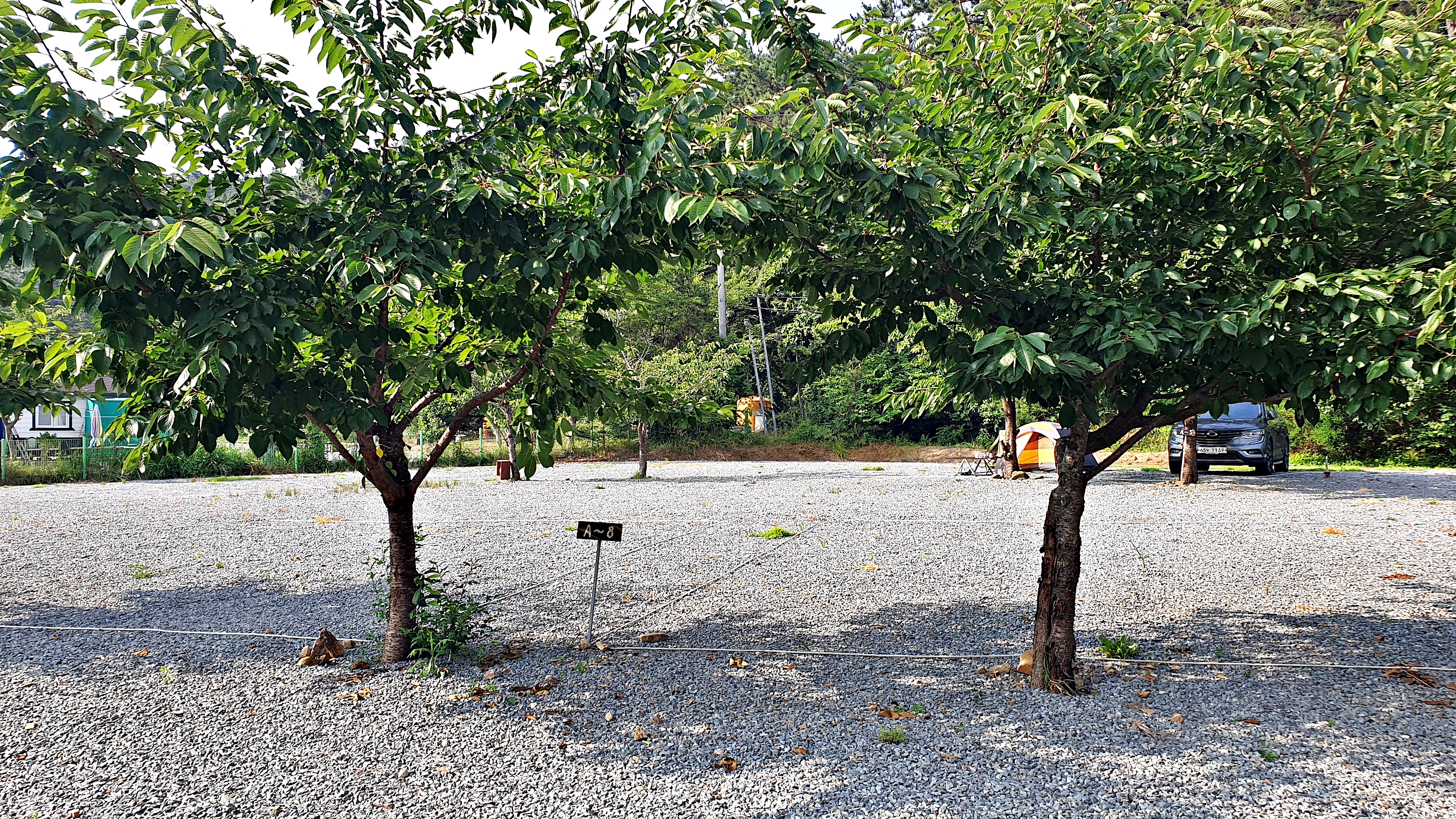 구름포해변캠핑장 이미지
