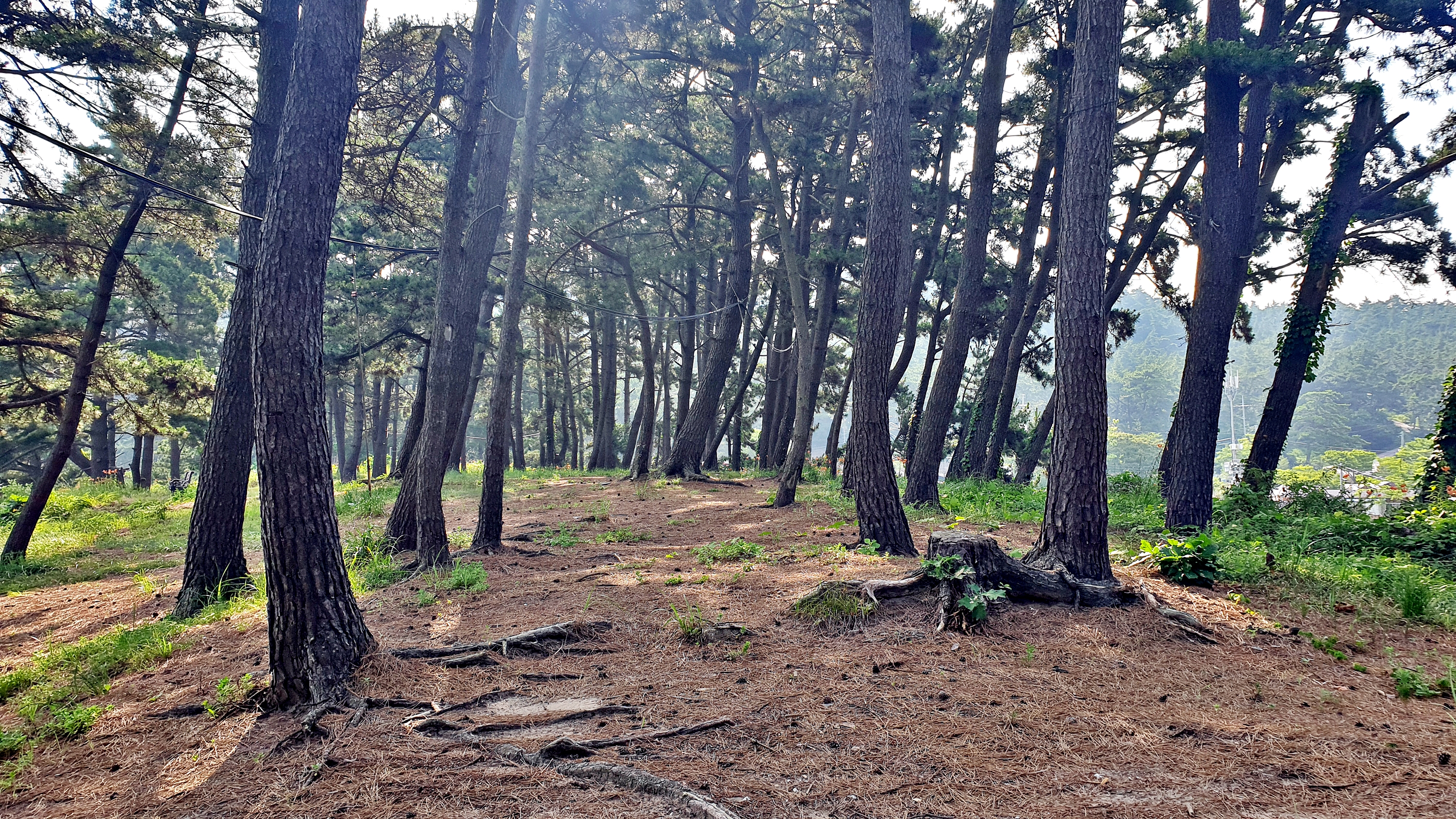 구름포해변캠핑장 이미지