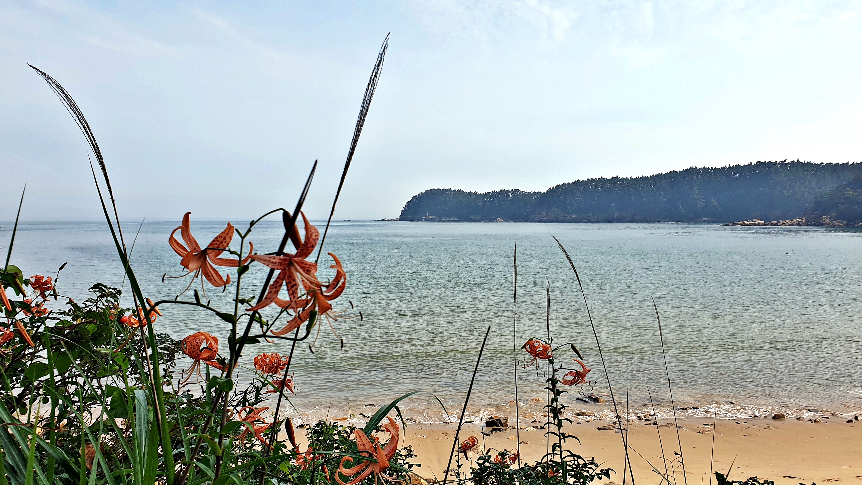 구름포해변캠핑장 이미지