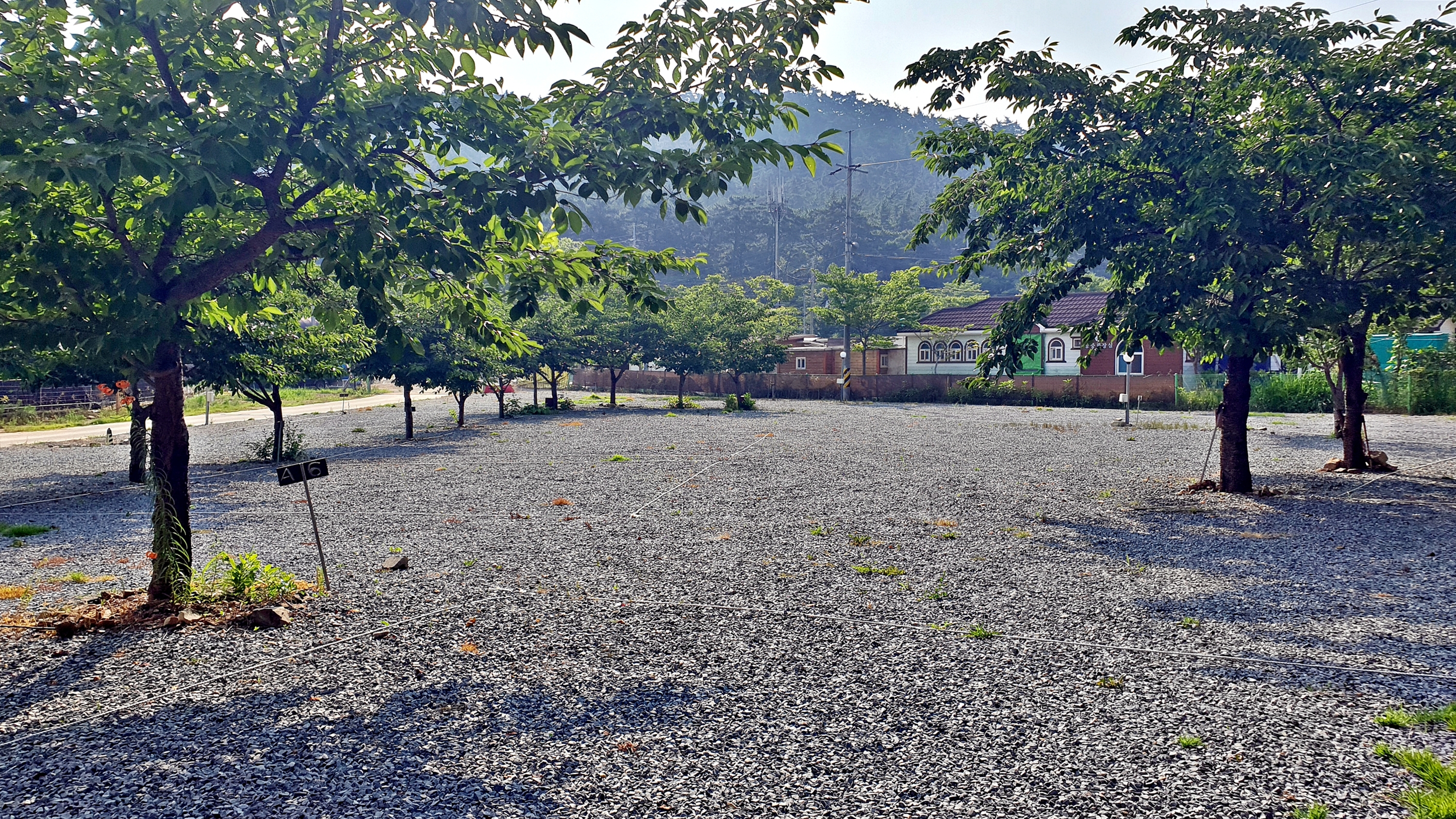 구름포해변캠핑장 이미지