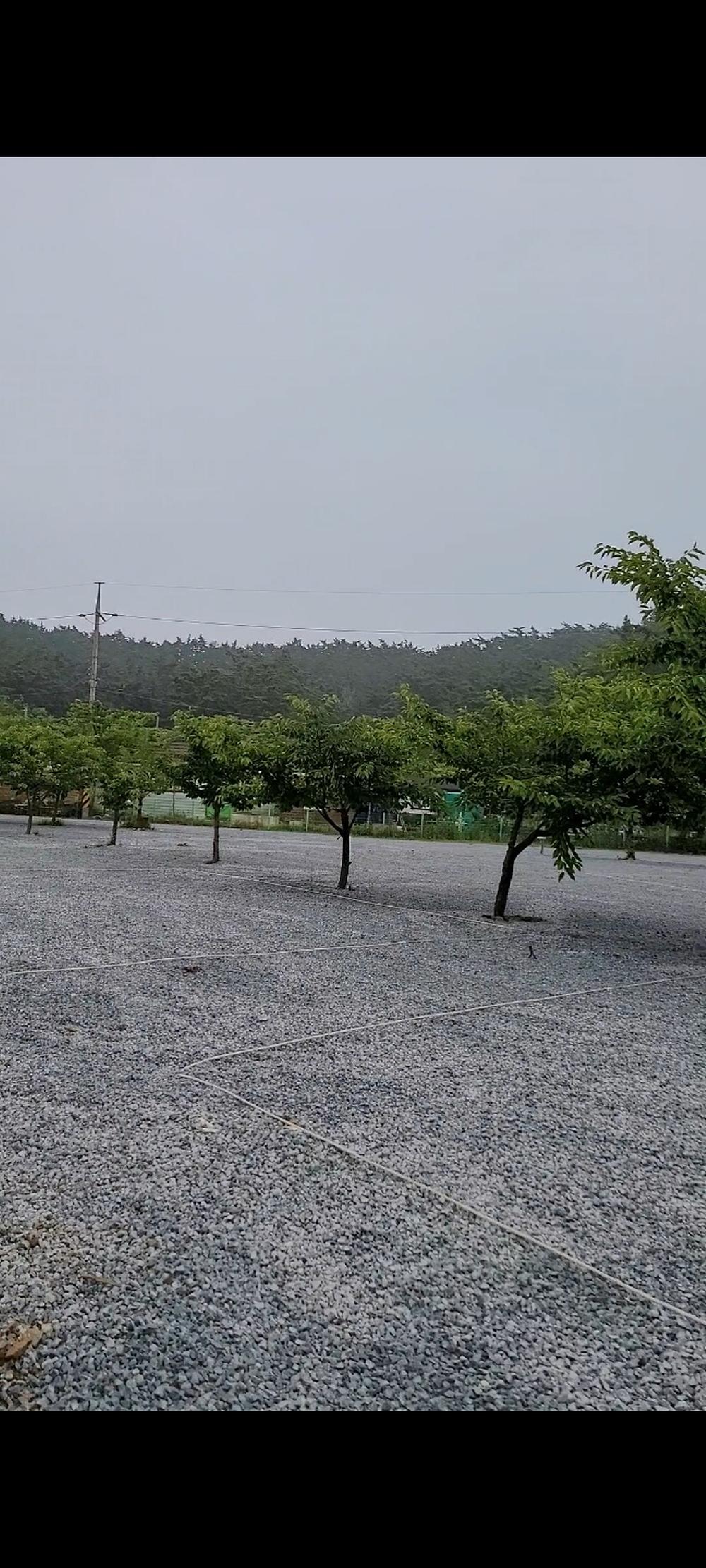 구름포해변캠핑장