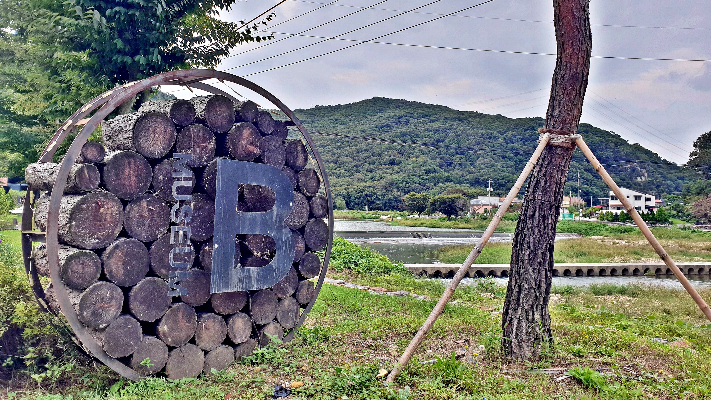 금산 뮤지엄B캠핑장 이미지
