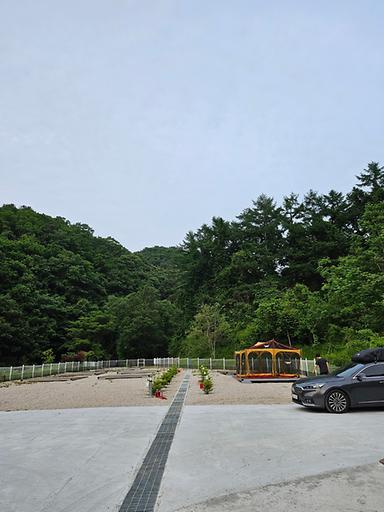 블루베리캠핑장 사진