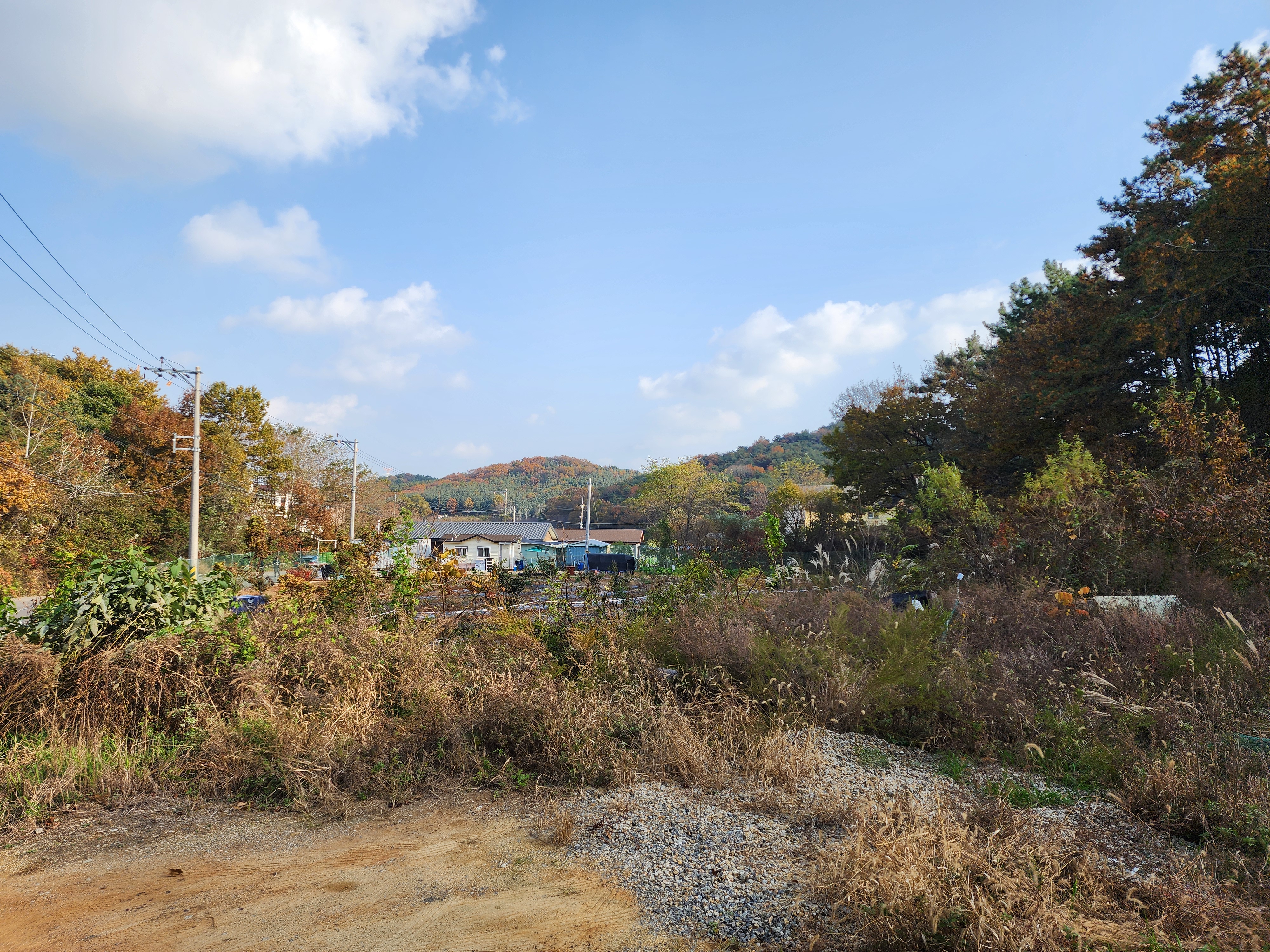 대부도(영흥도)산촌카라반 34번째 이미지