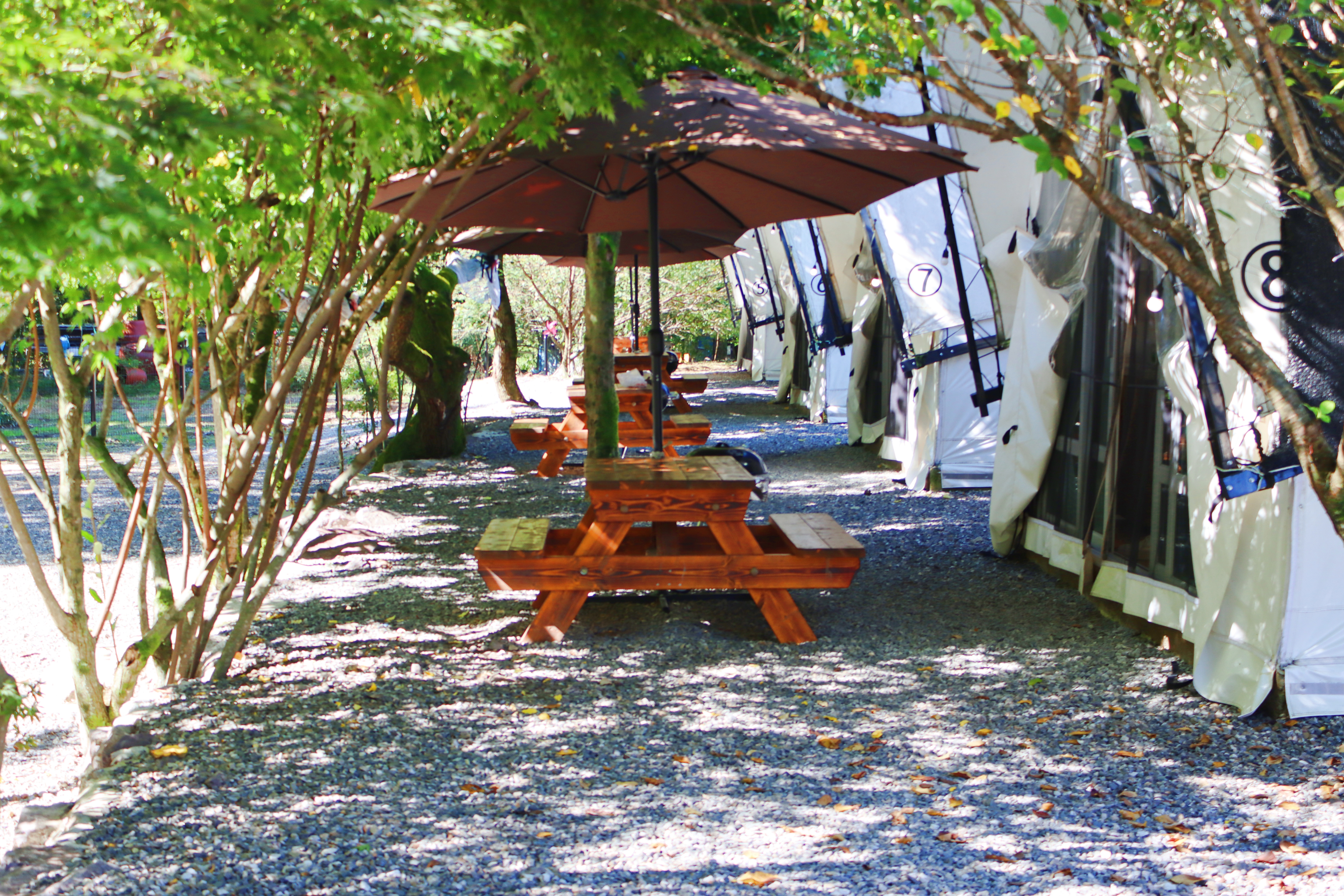 거목 글램핑 13번째 이미지