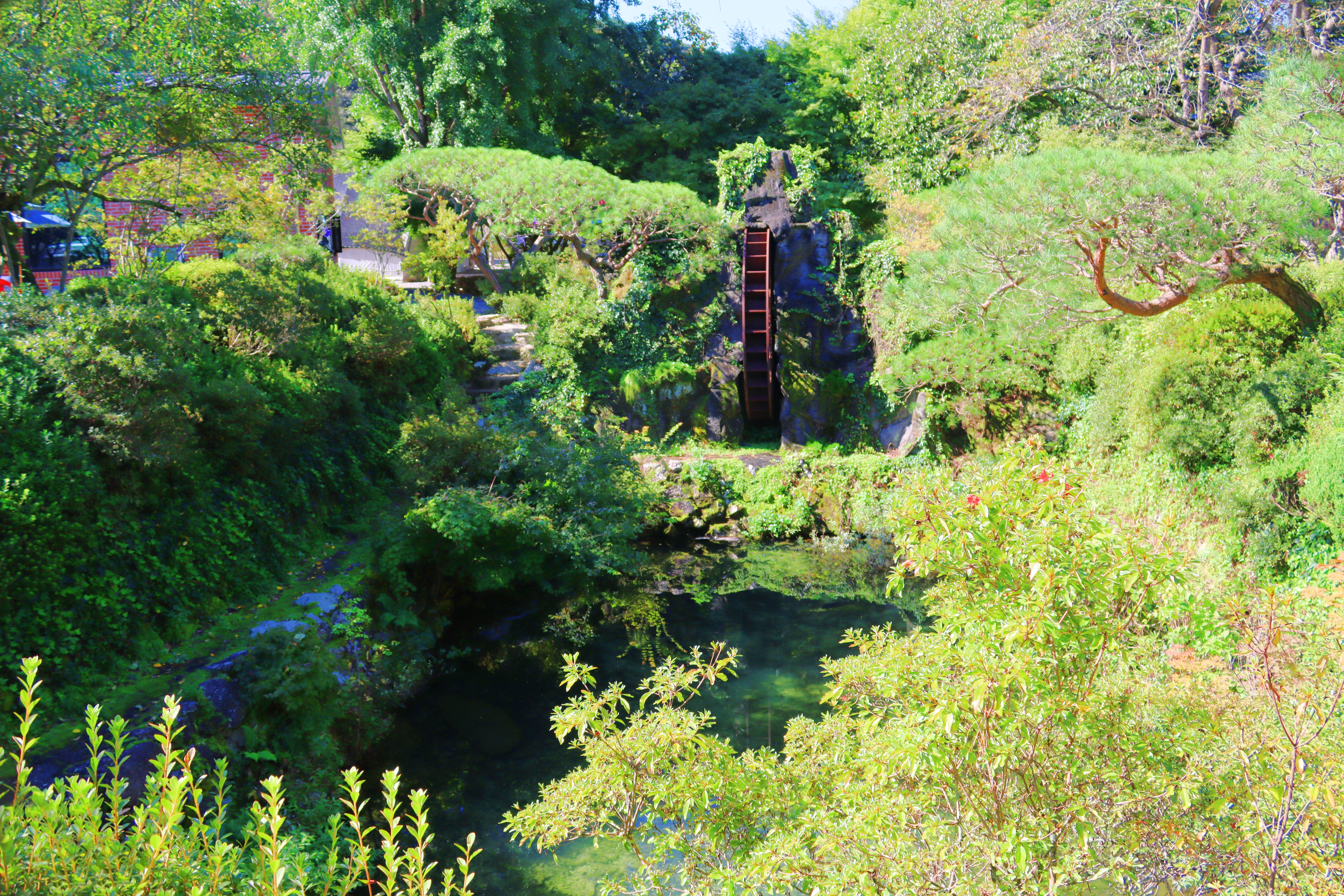 거목 글램핑 25번째 이미지