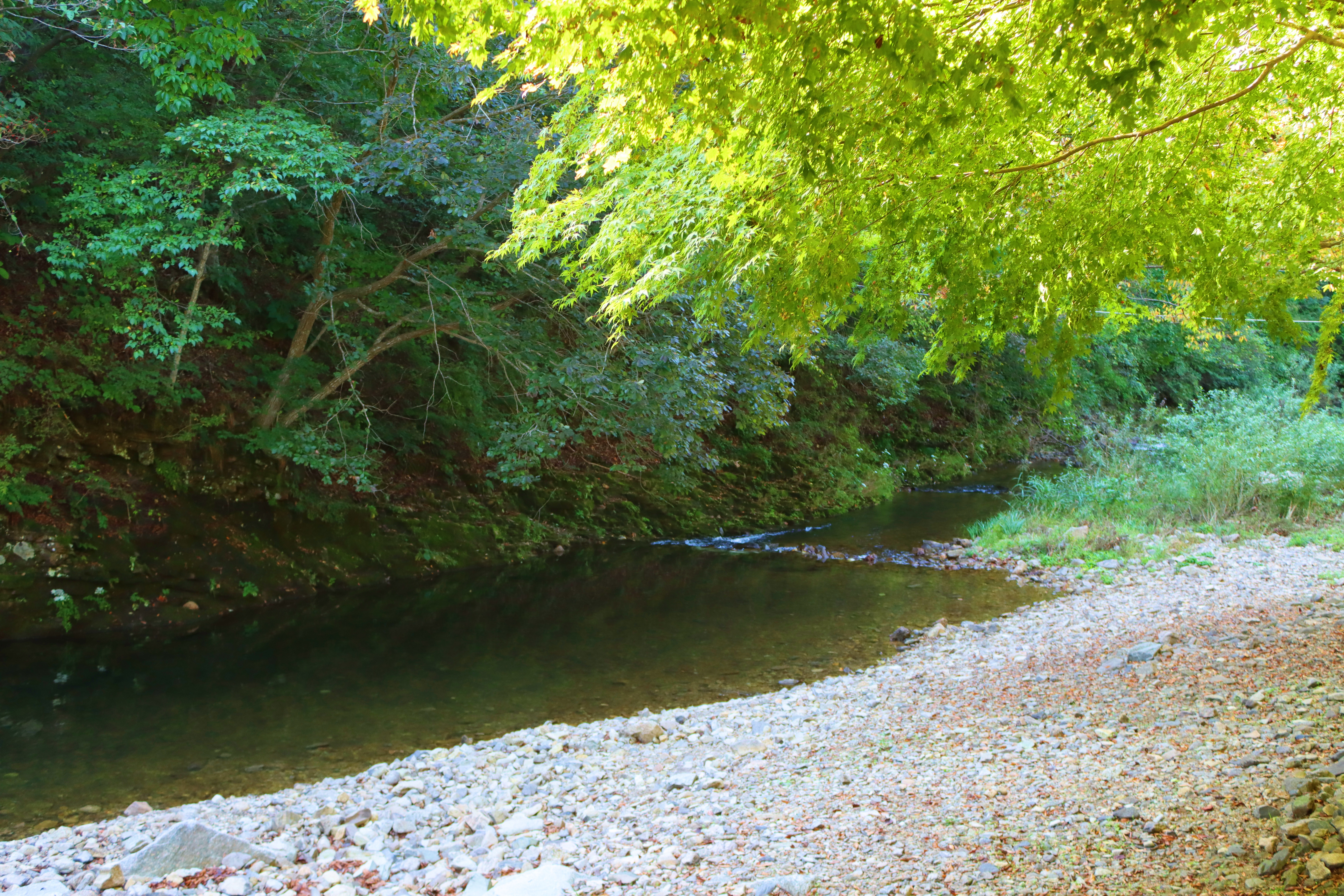 거목 글램핑 24번째 이미지
