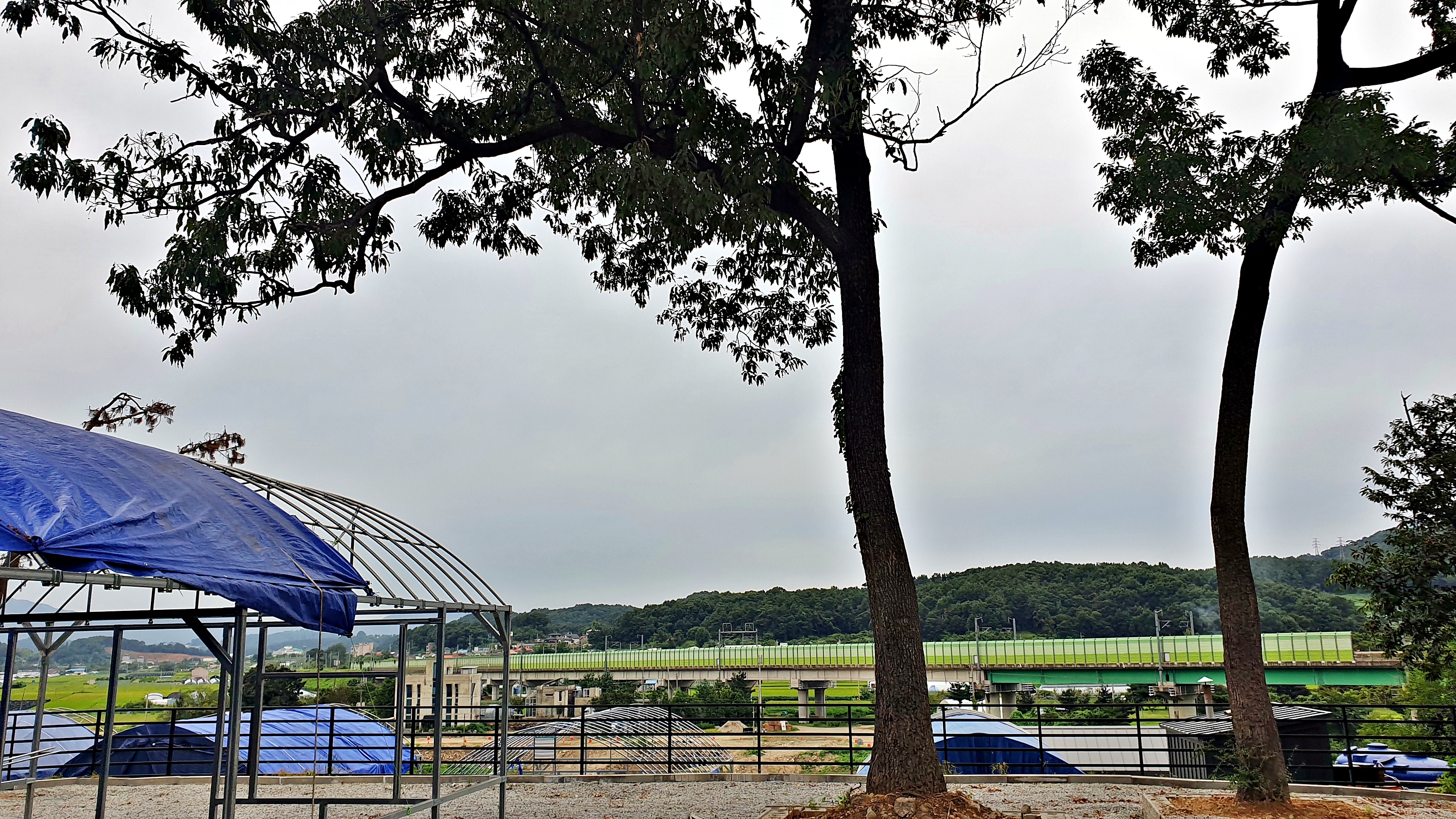 조이파크 이미지