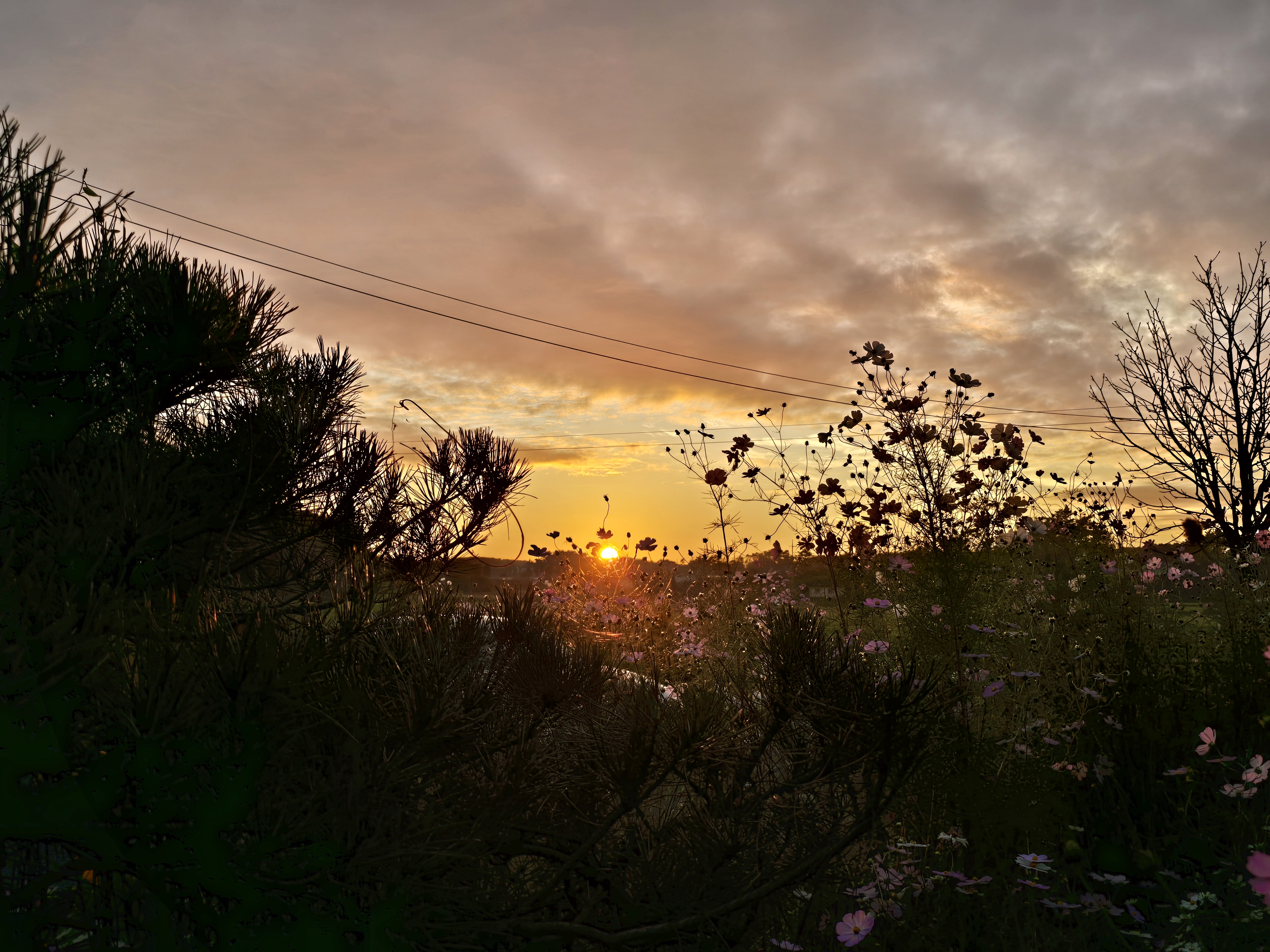달산 글램핑 이미지