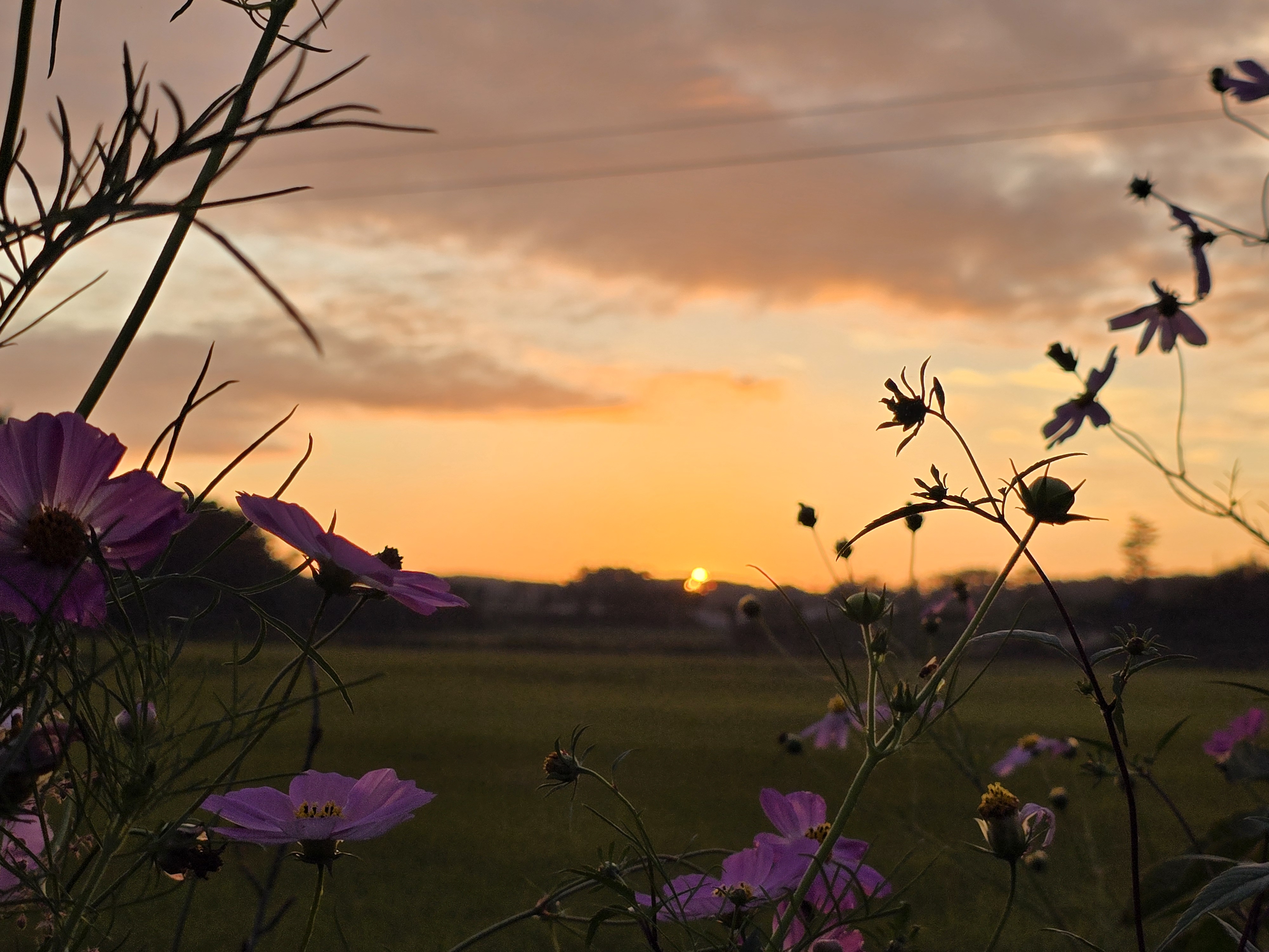 달산 글램핑 이미지