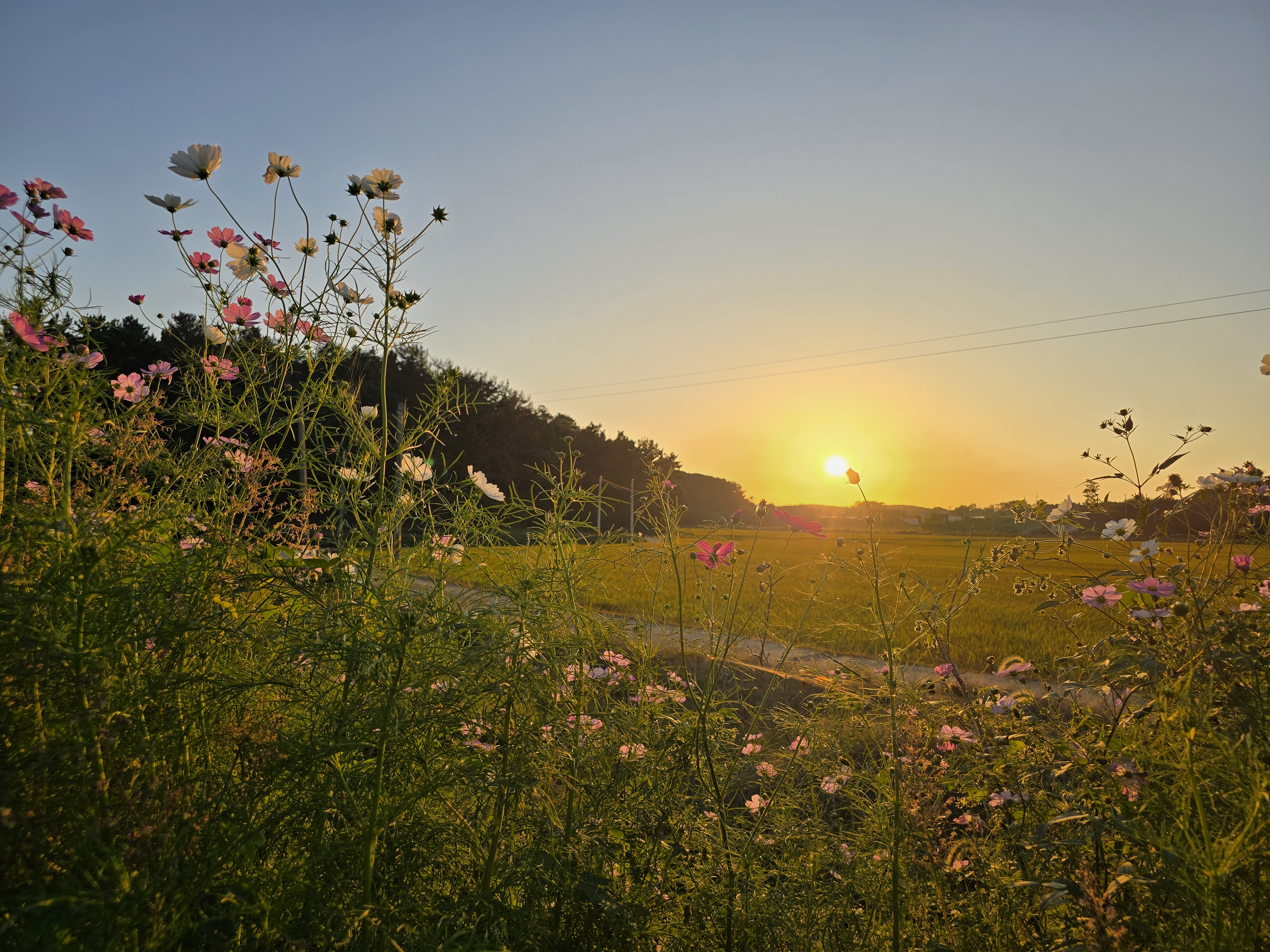 달산 글램핑 이미지