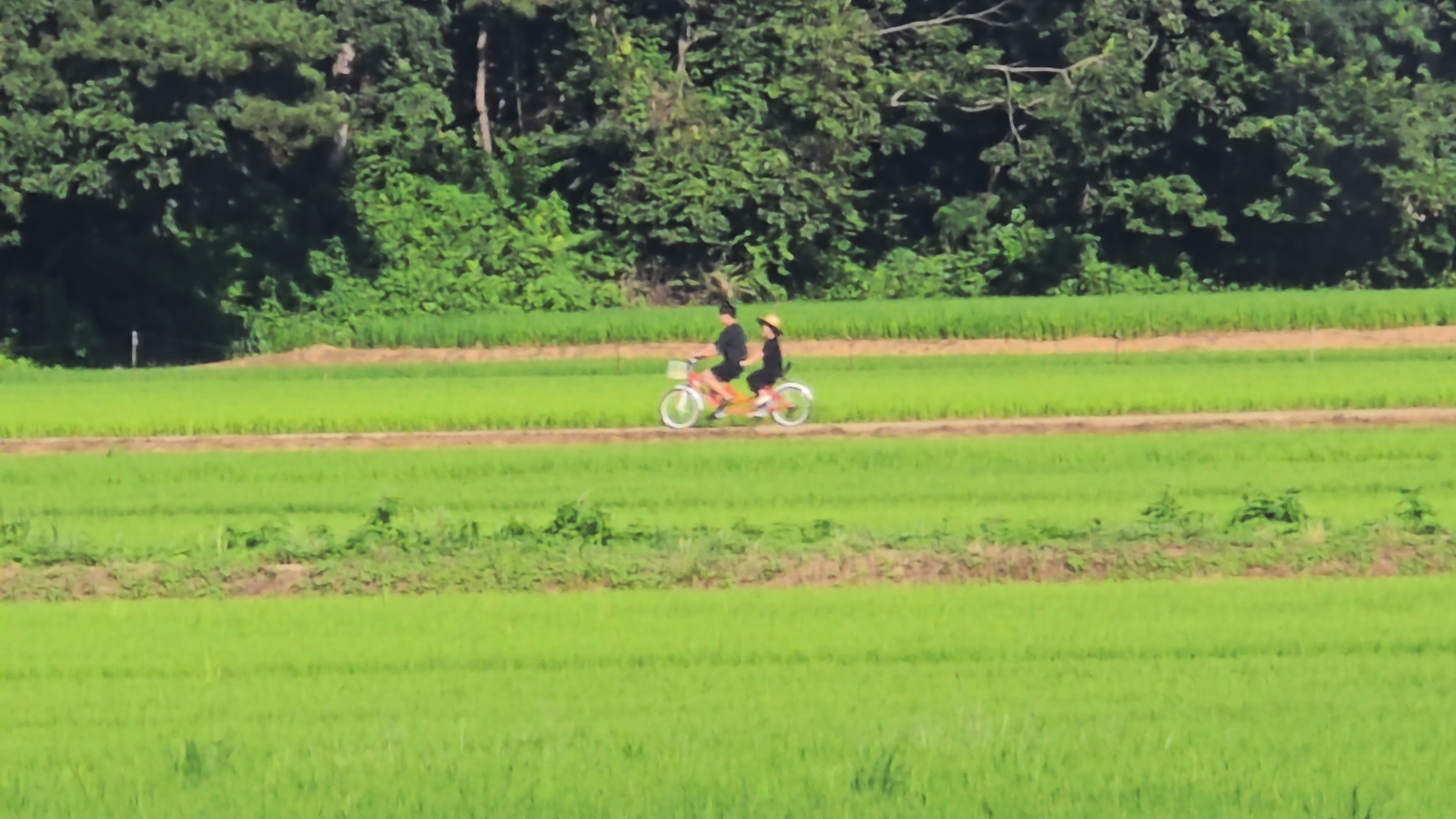 달산 글램핑 이미지