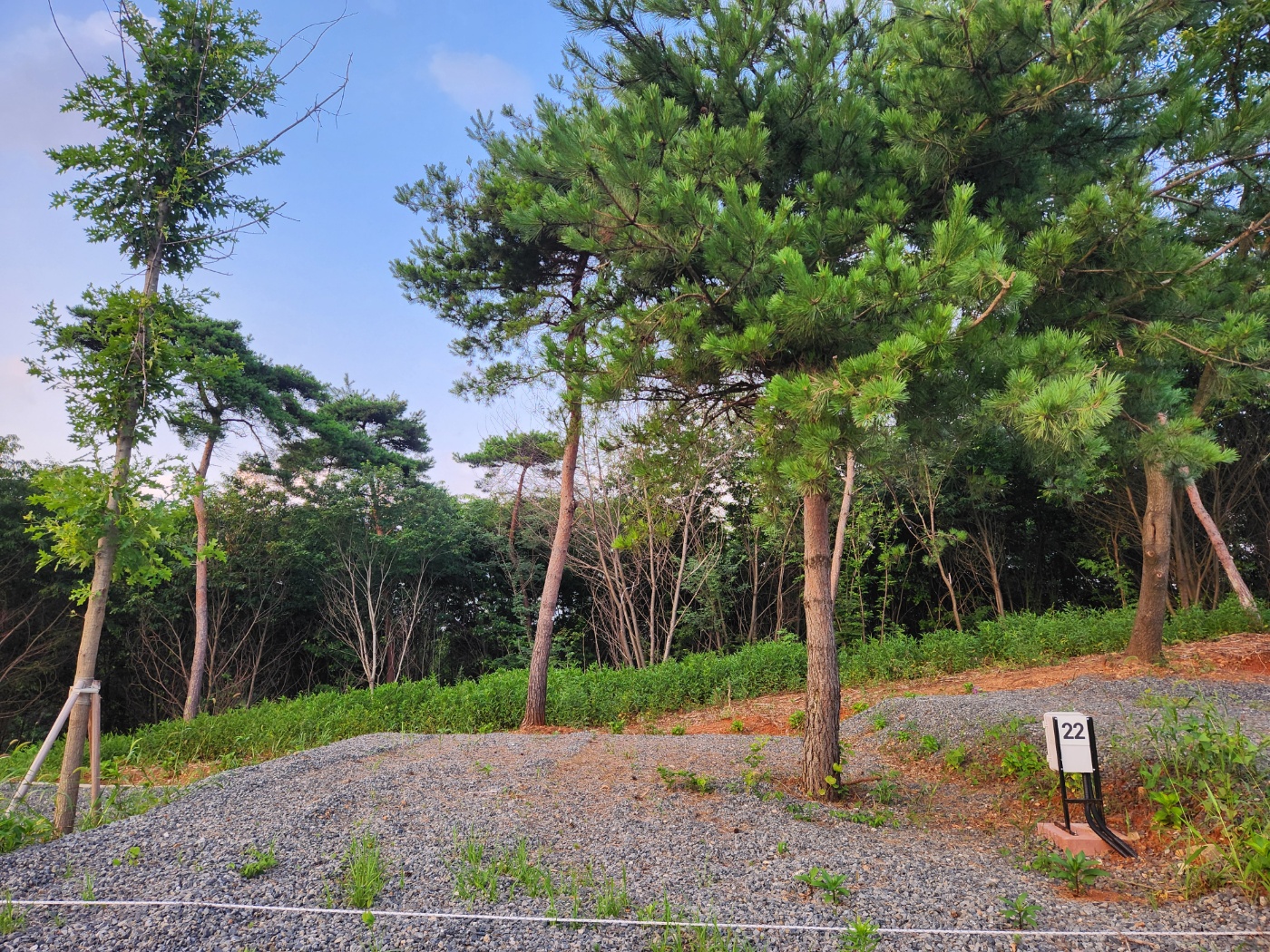 대천힐링캠핑장 이미지