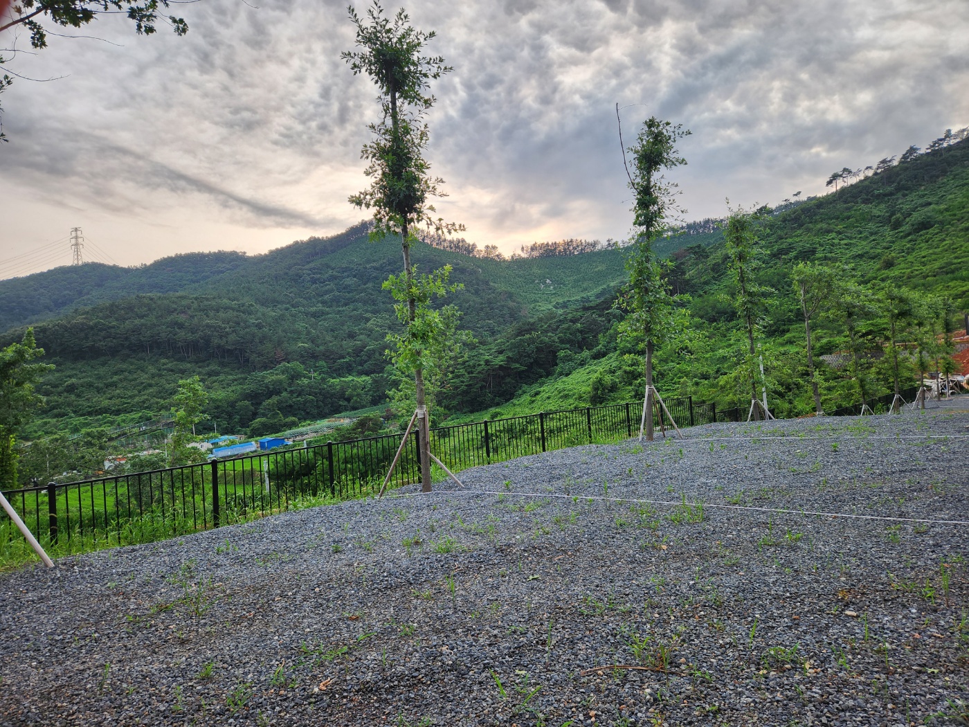 대천힐링캠핑장 이미지