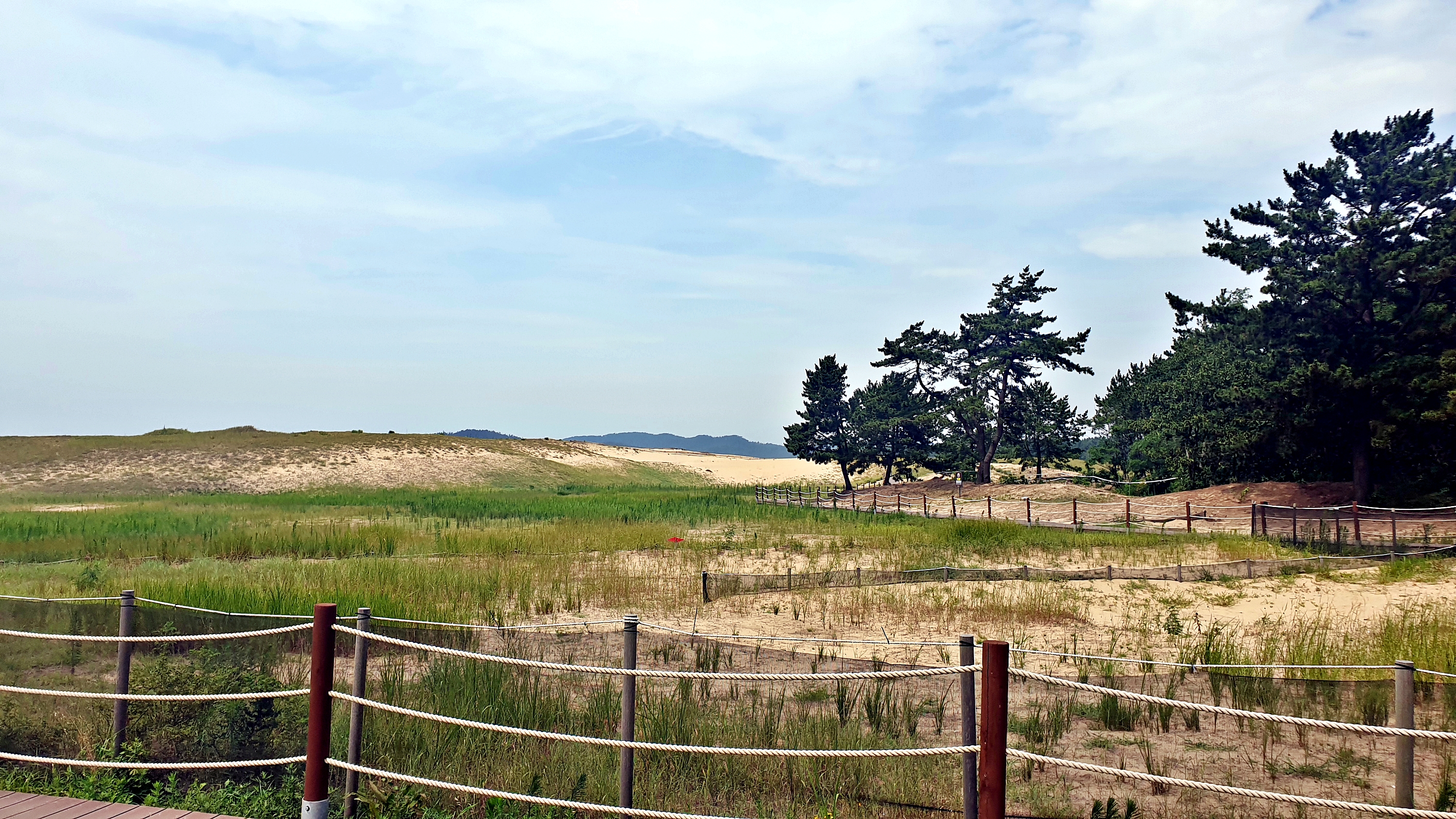 신두리 오렌지 캠핑장 이미지