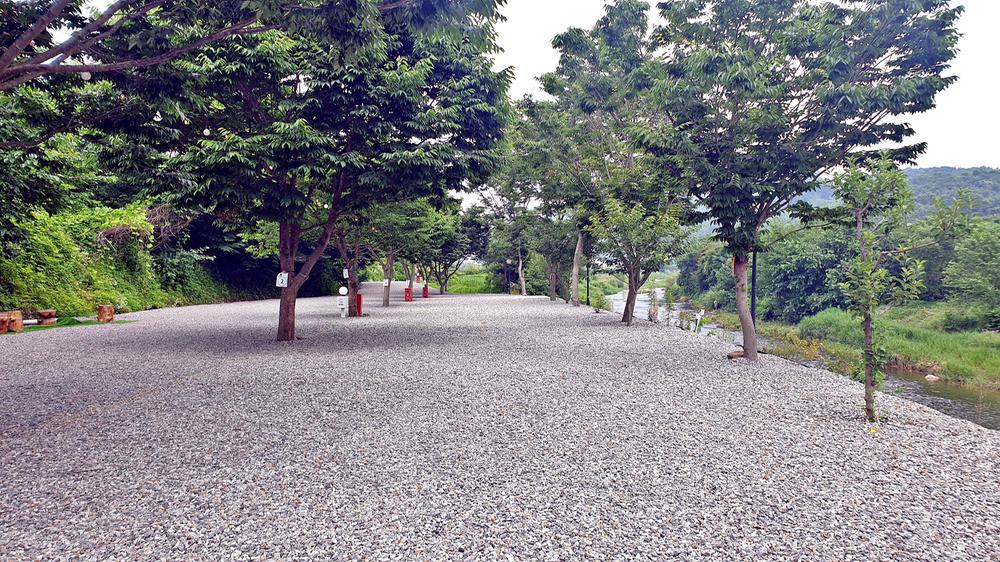 숲캠핑장