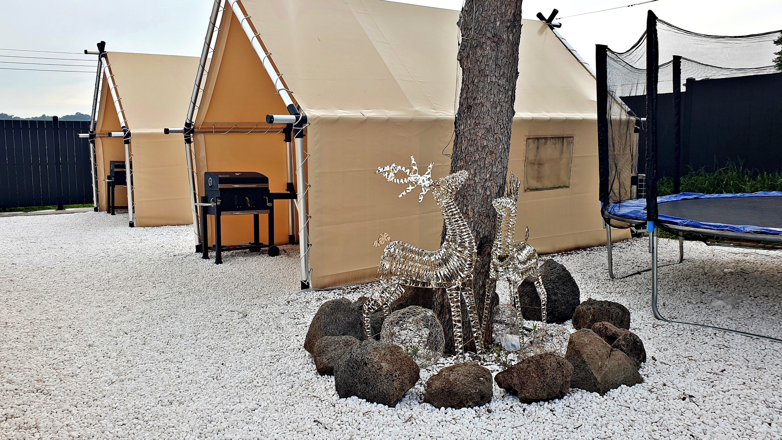 조이포레 이미지