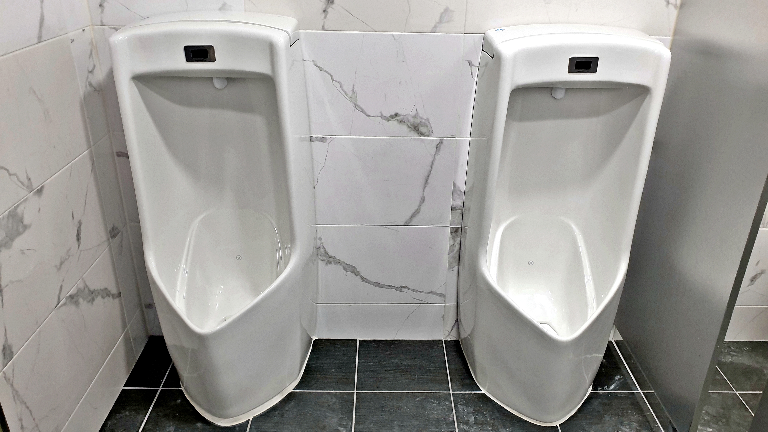 조이포레 이미지