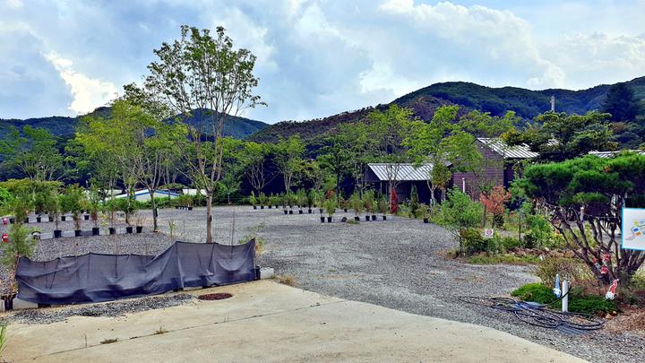 캠핑노리 대표 이미지