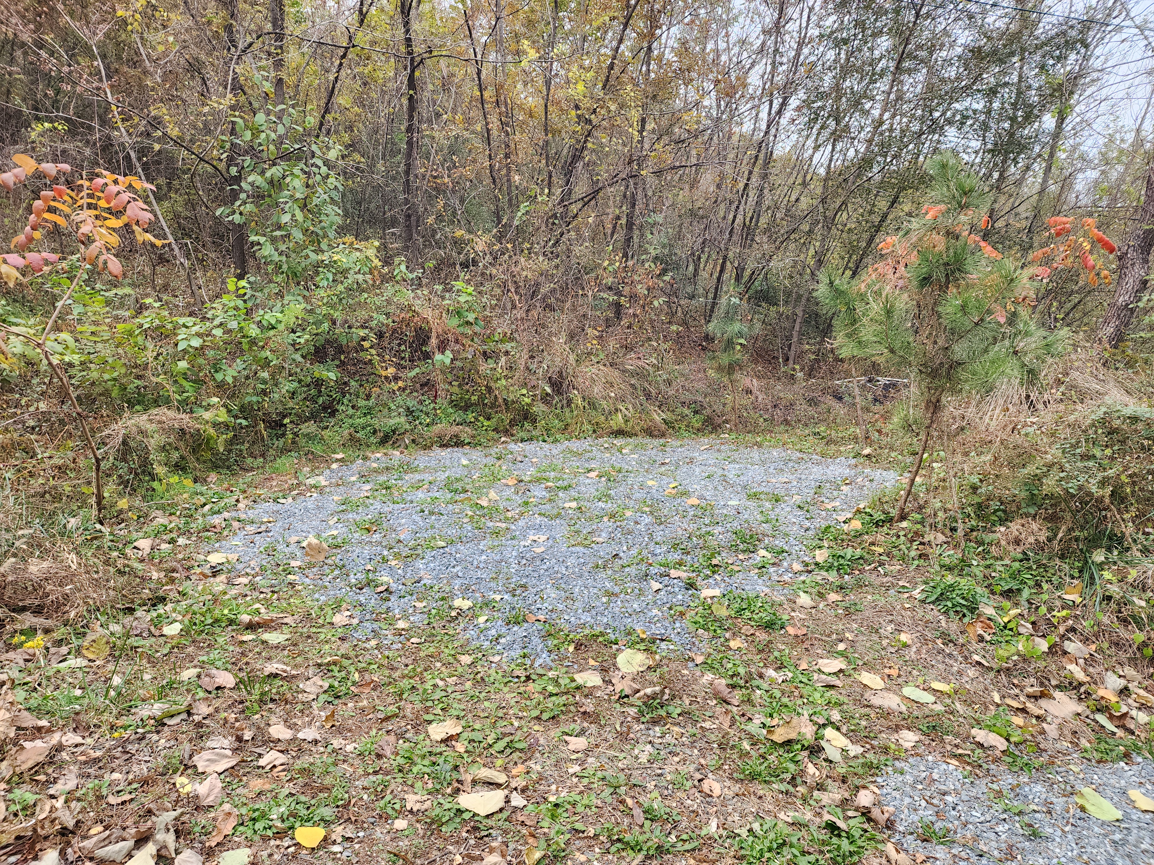 어도숲 캠핑장 이미지