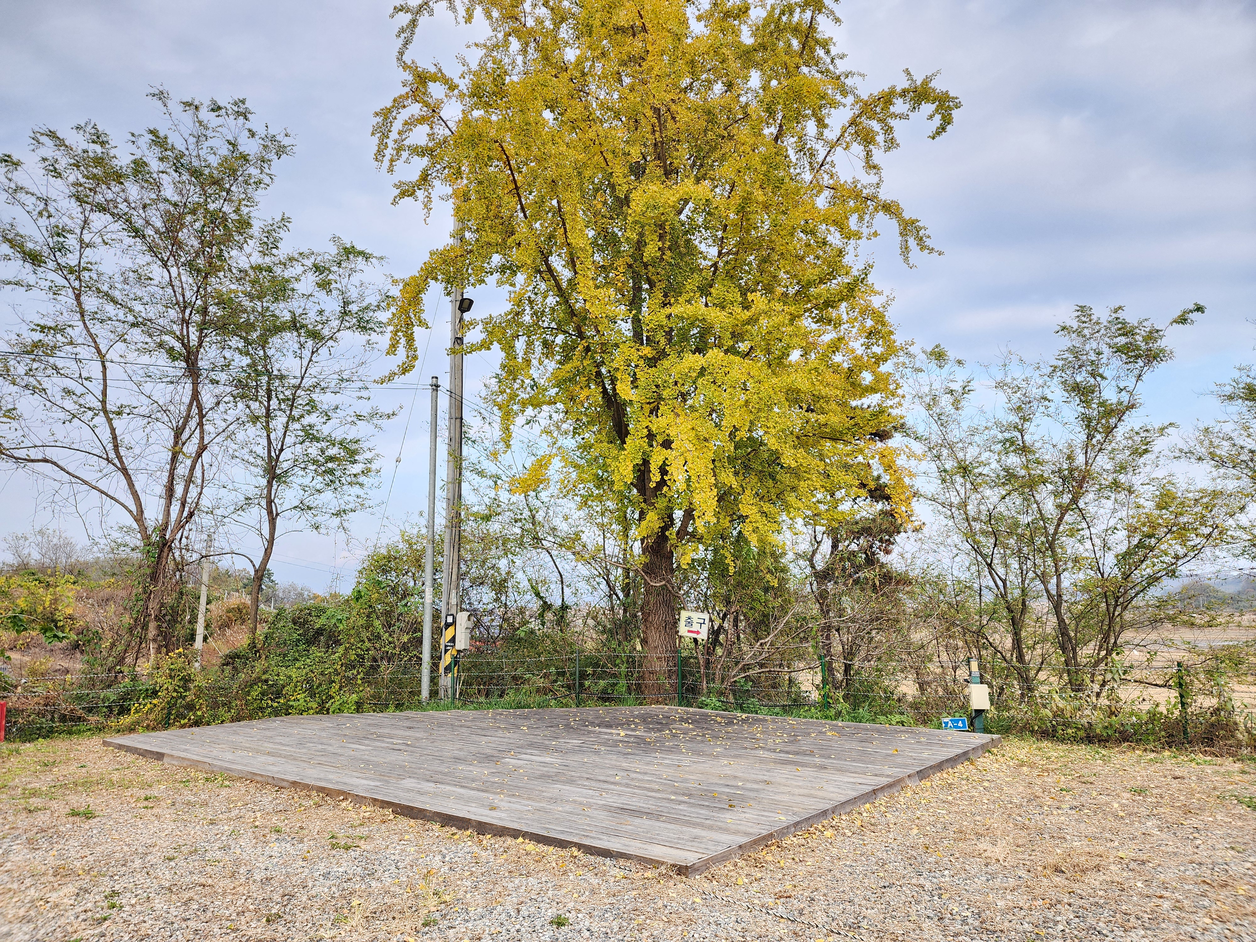 어도숲 캠핑장 이미지