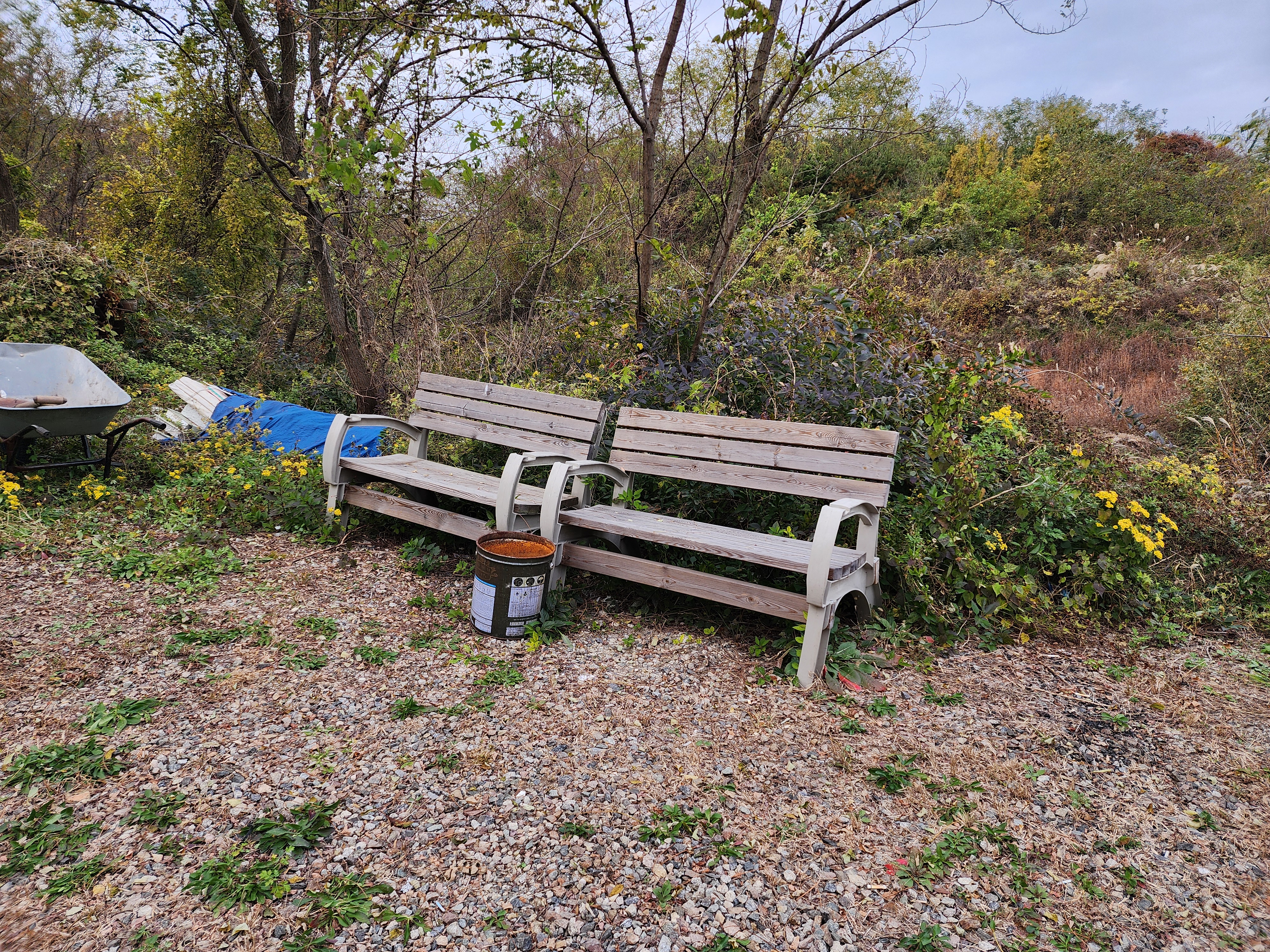 어도숲 캠핑장 이미지