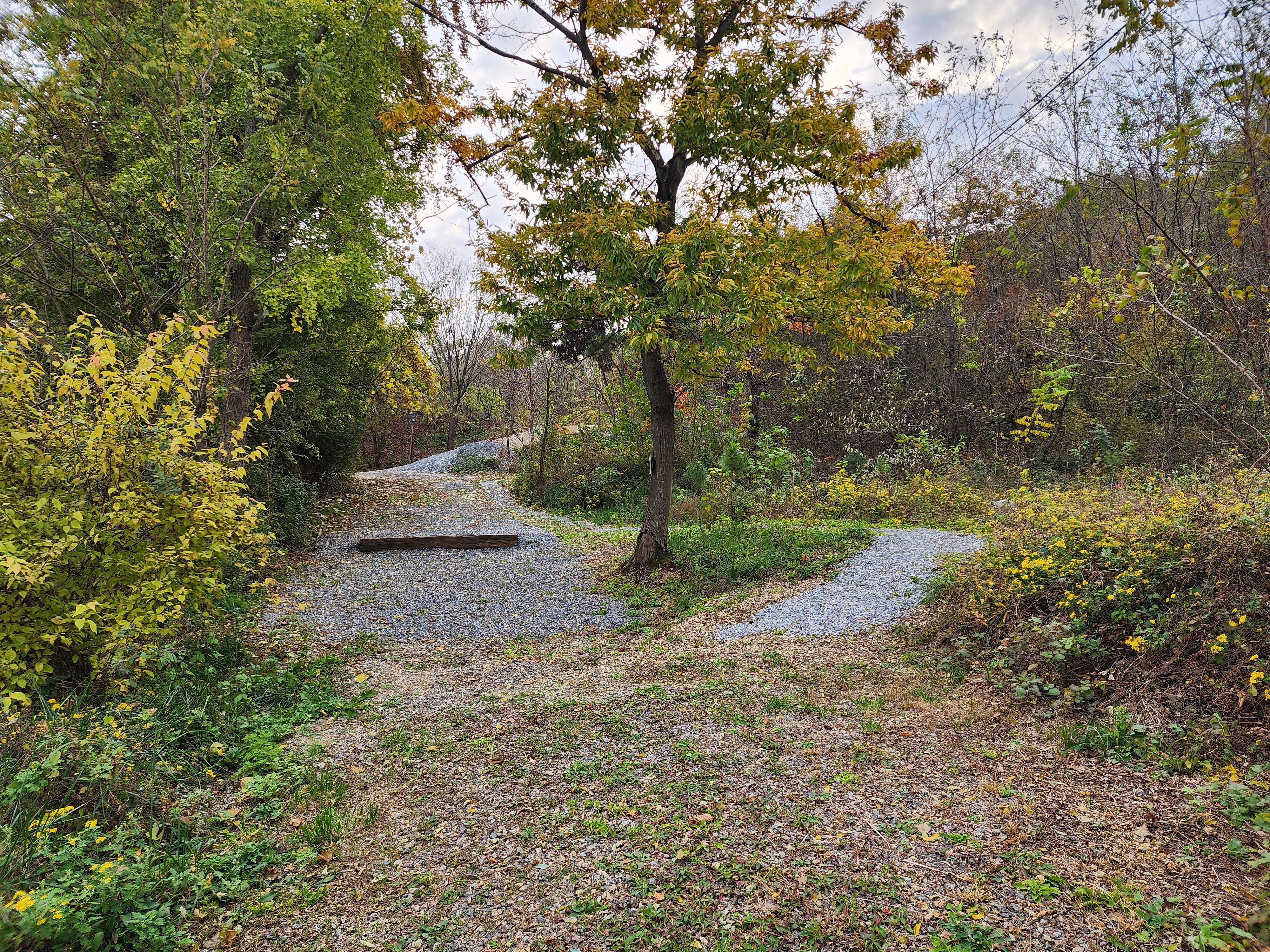 어도숲 캠핑장 이미지
