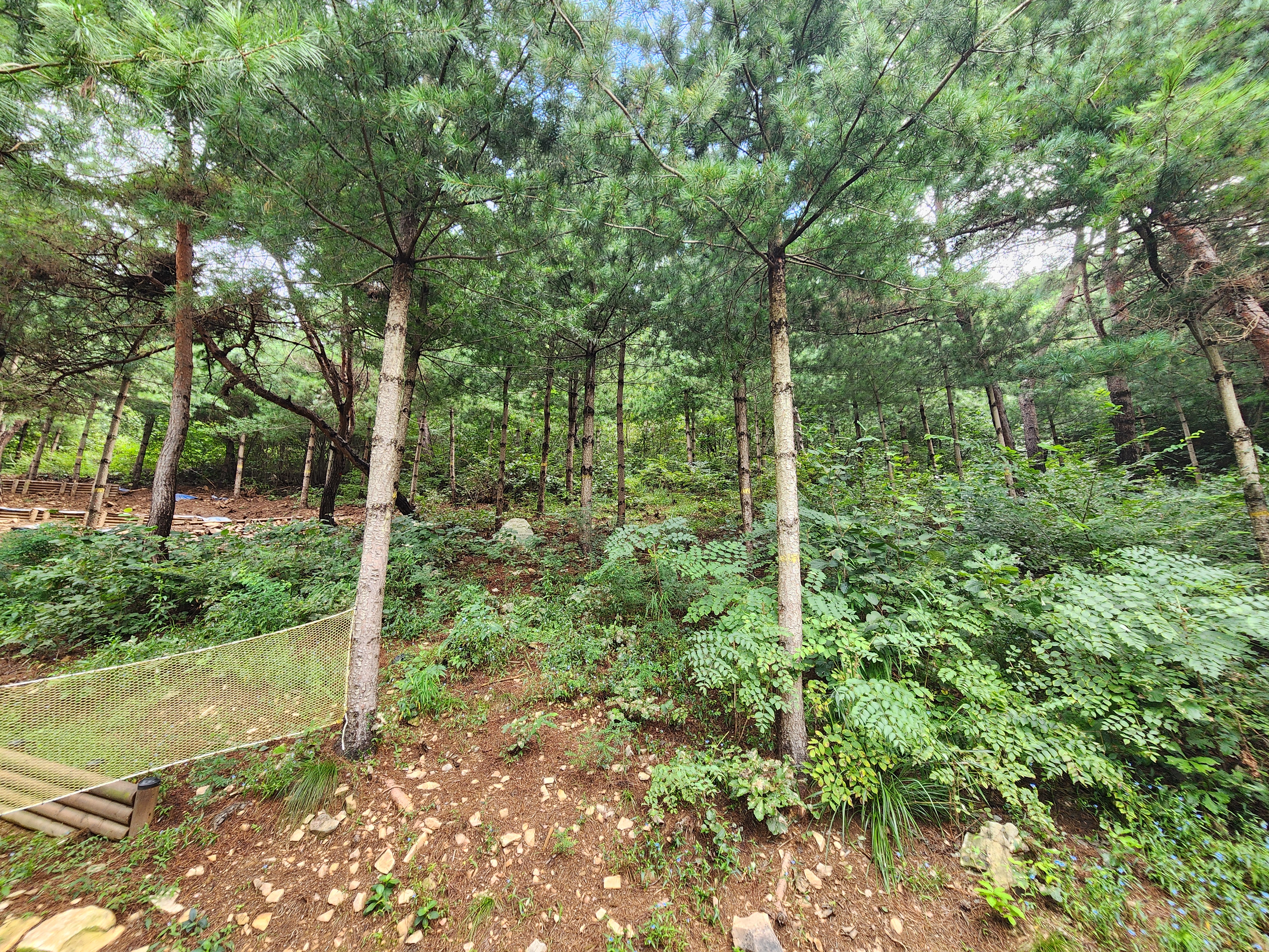 신암저수지 숲속야영장 이미지