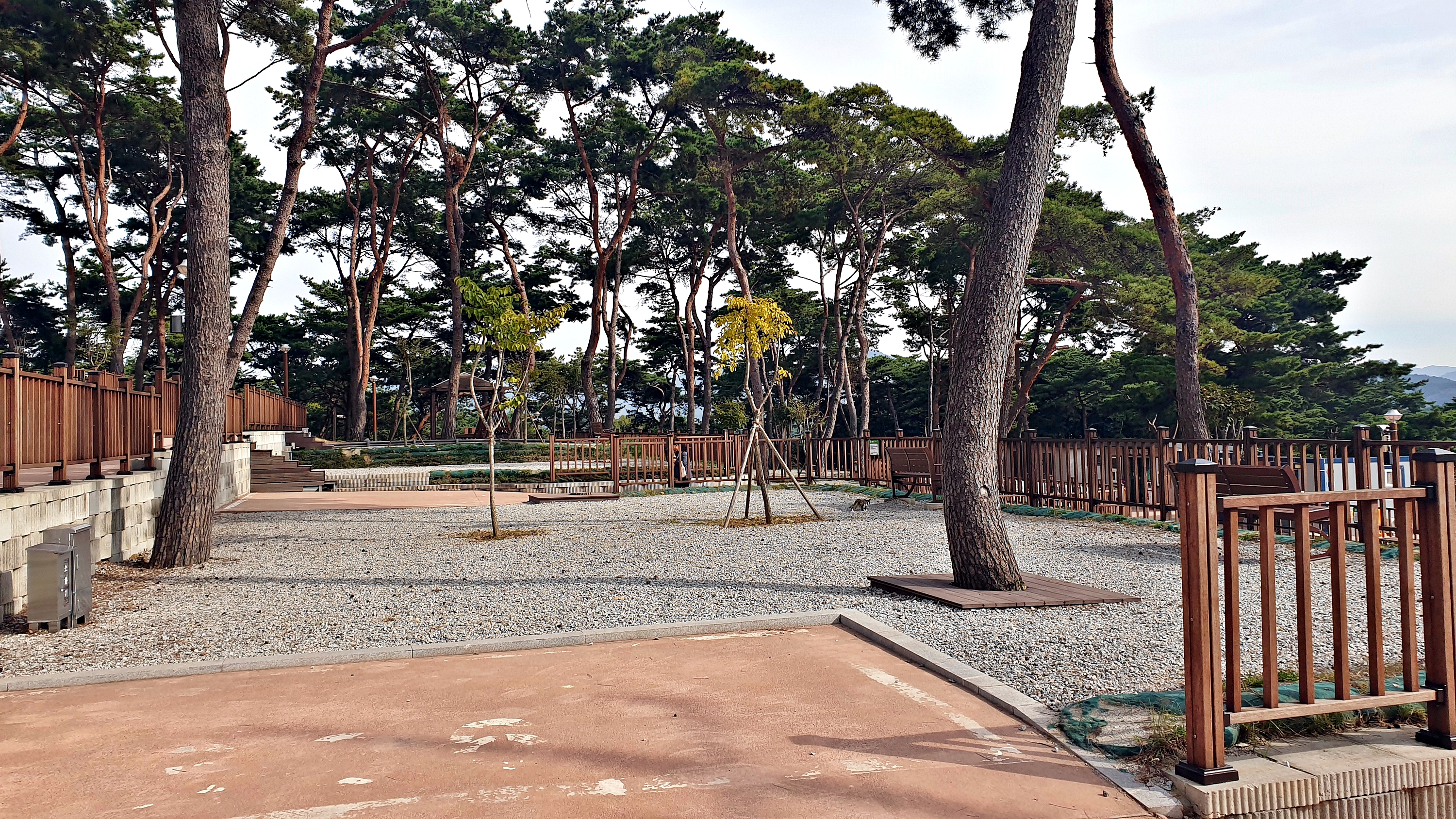 교룡공원 숲속야영장 이미지