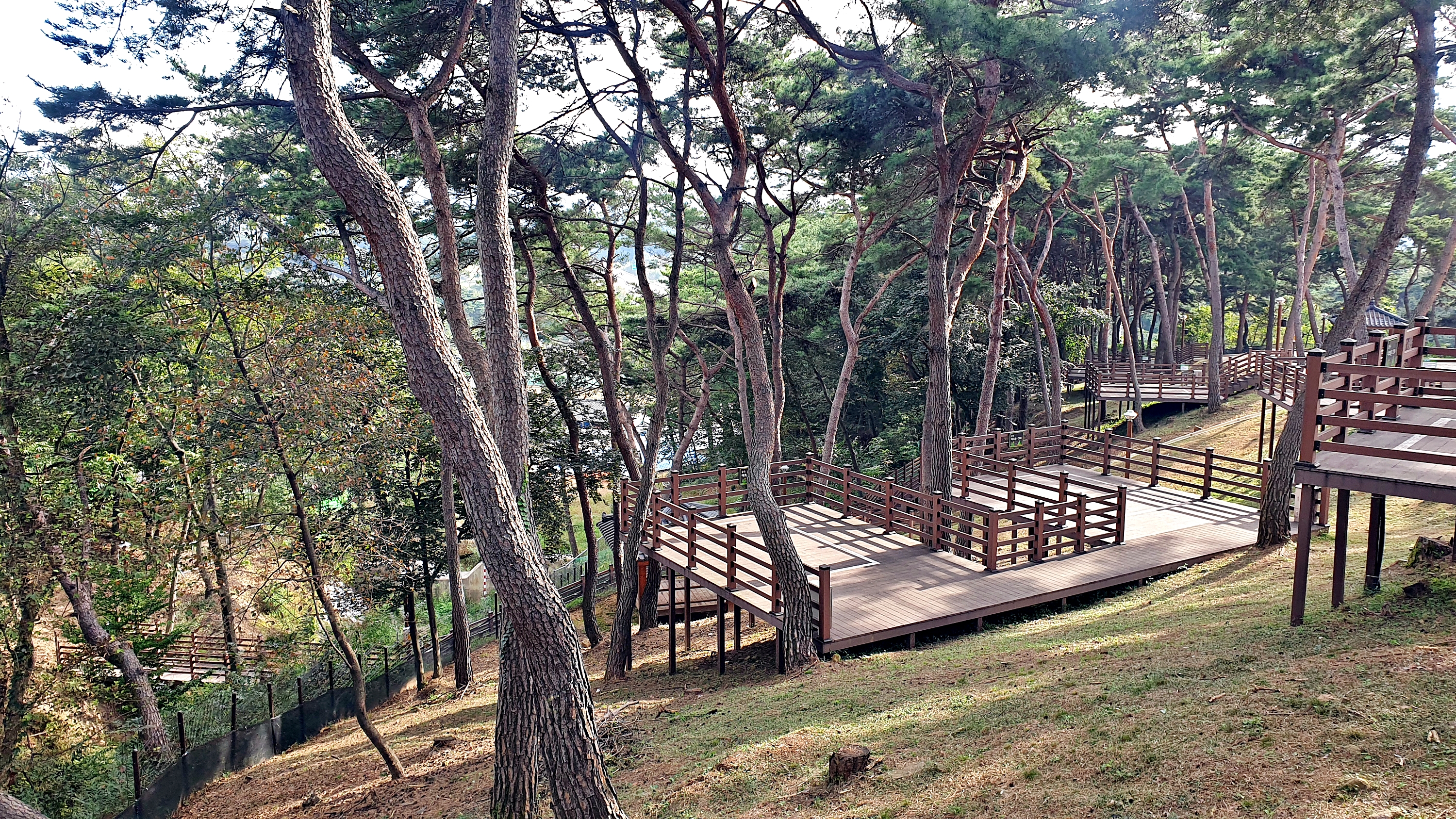 교룡공원 숲속야영장 이미지