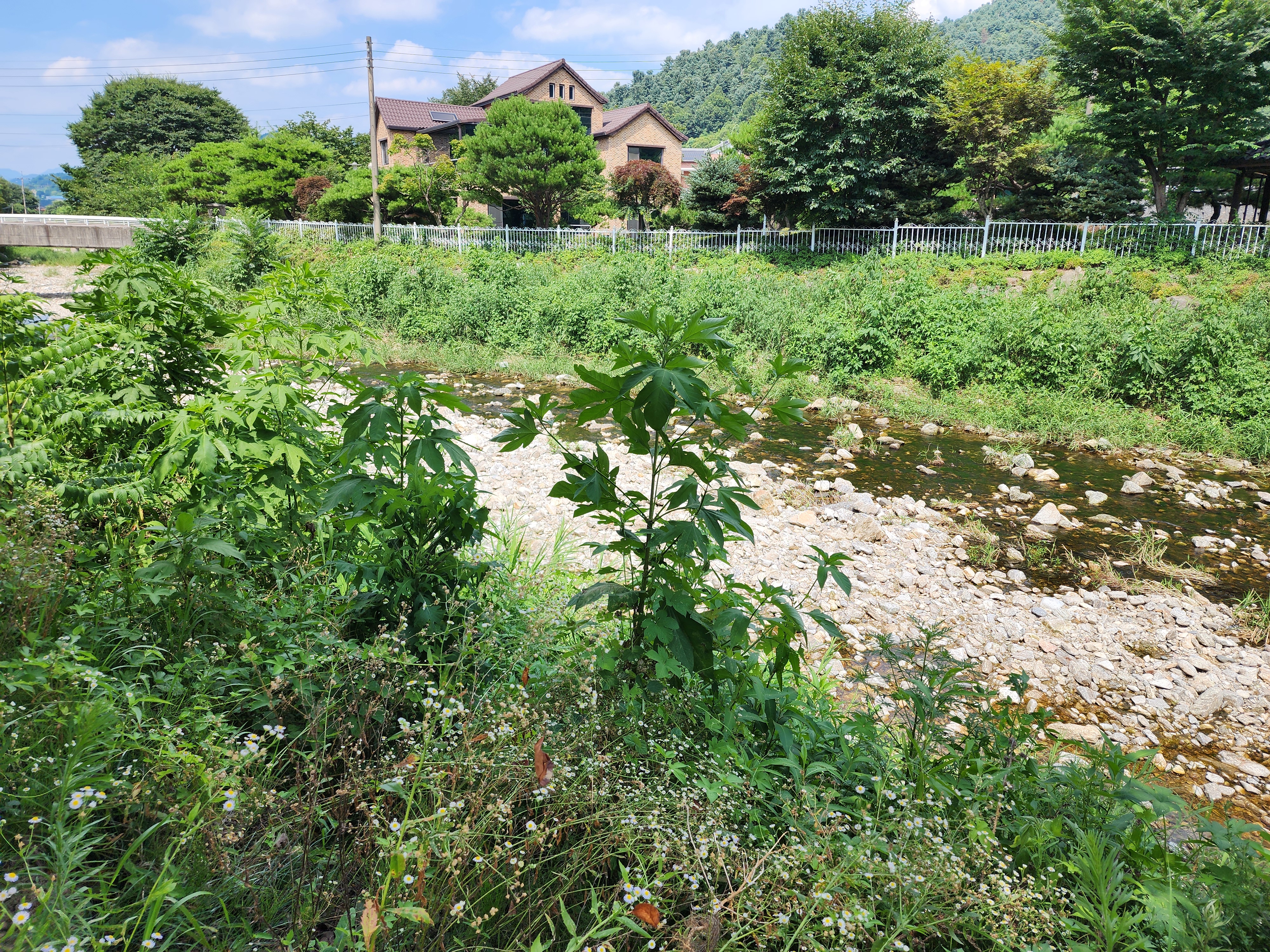 네츄럴 밸리 14번째 이미지