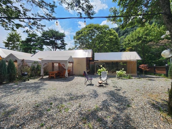 네츄럴 밸리 대표 이미지