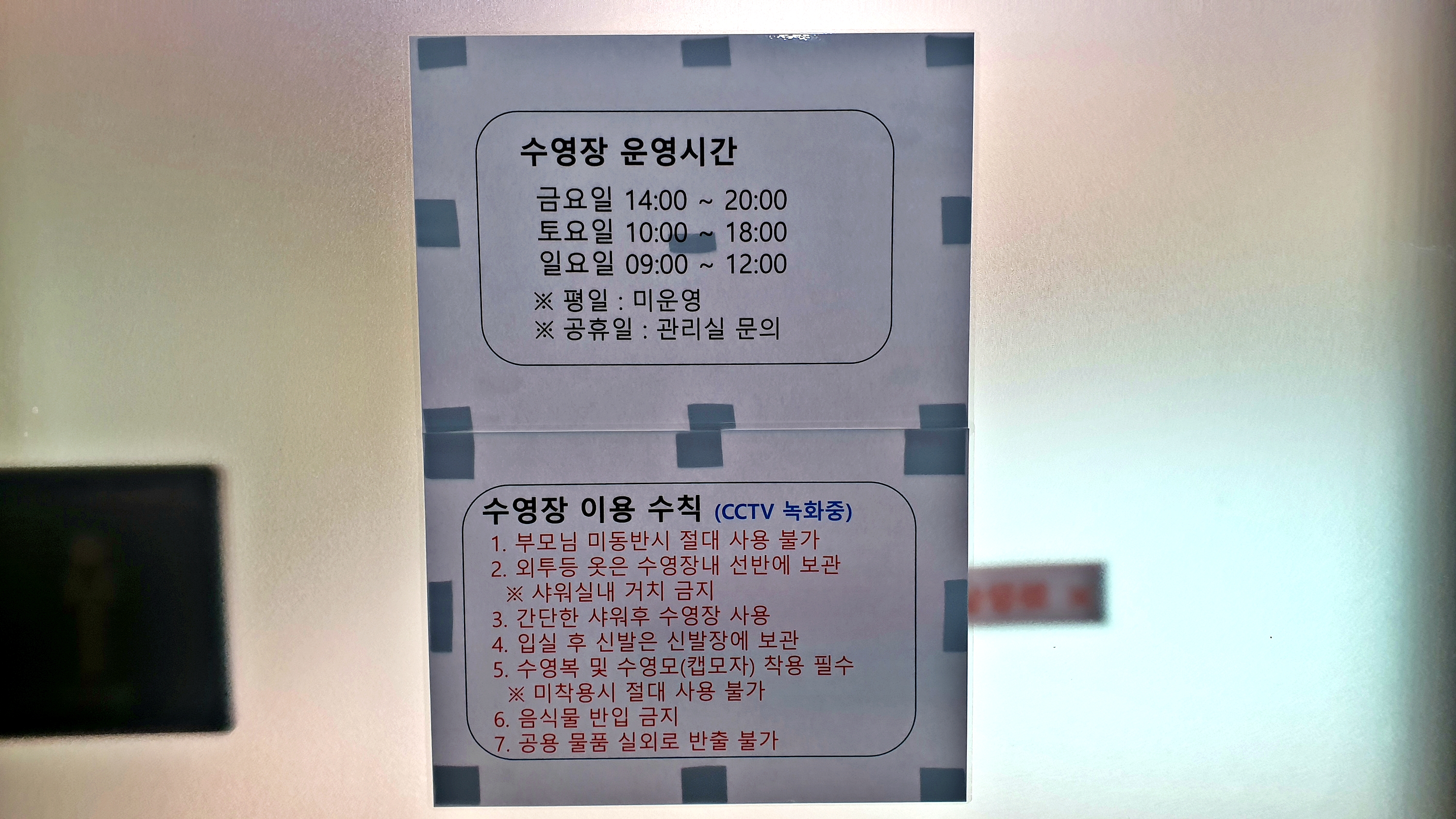 원더 포레스트 26번째 이미지