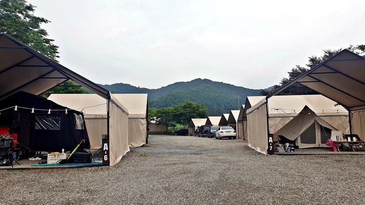 충청  원더 포레스트 1