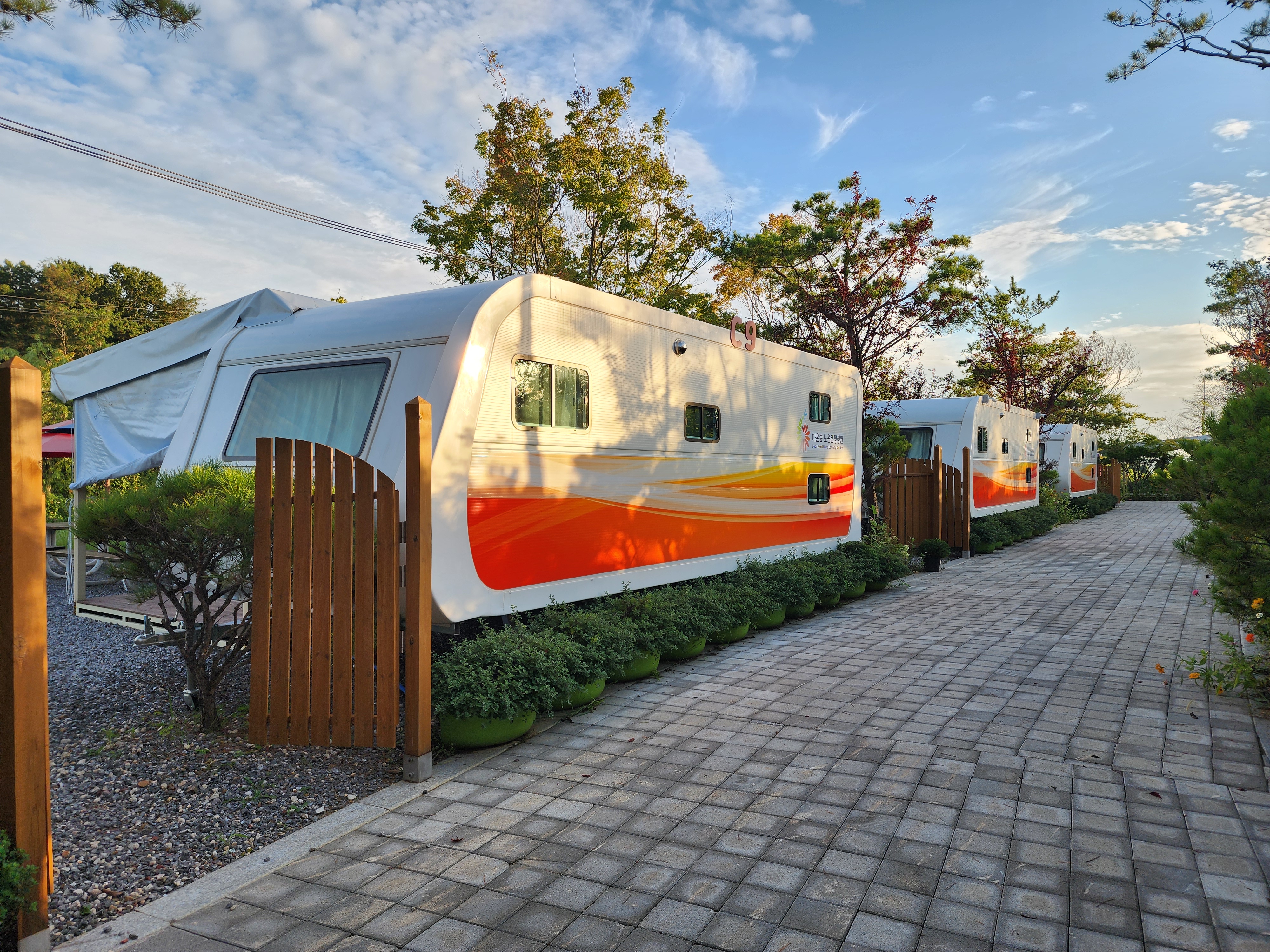 다온숲 노을 캠핑정원 이미지