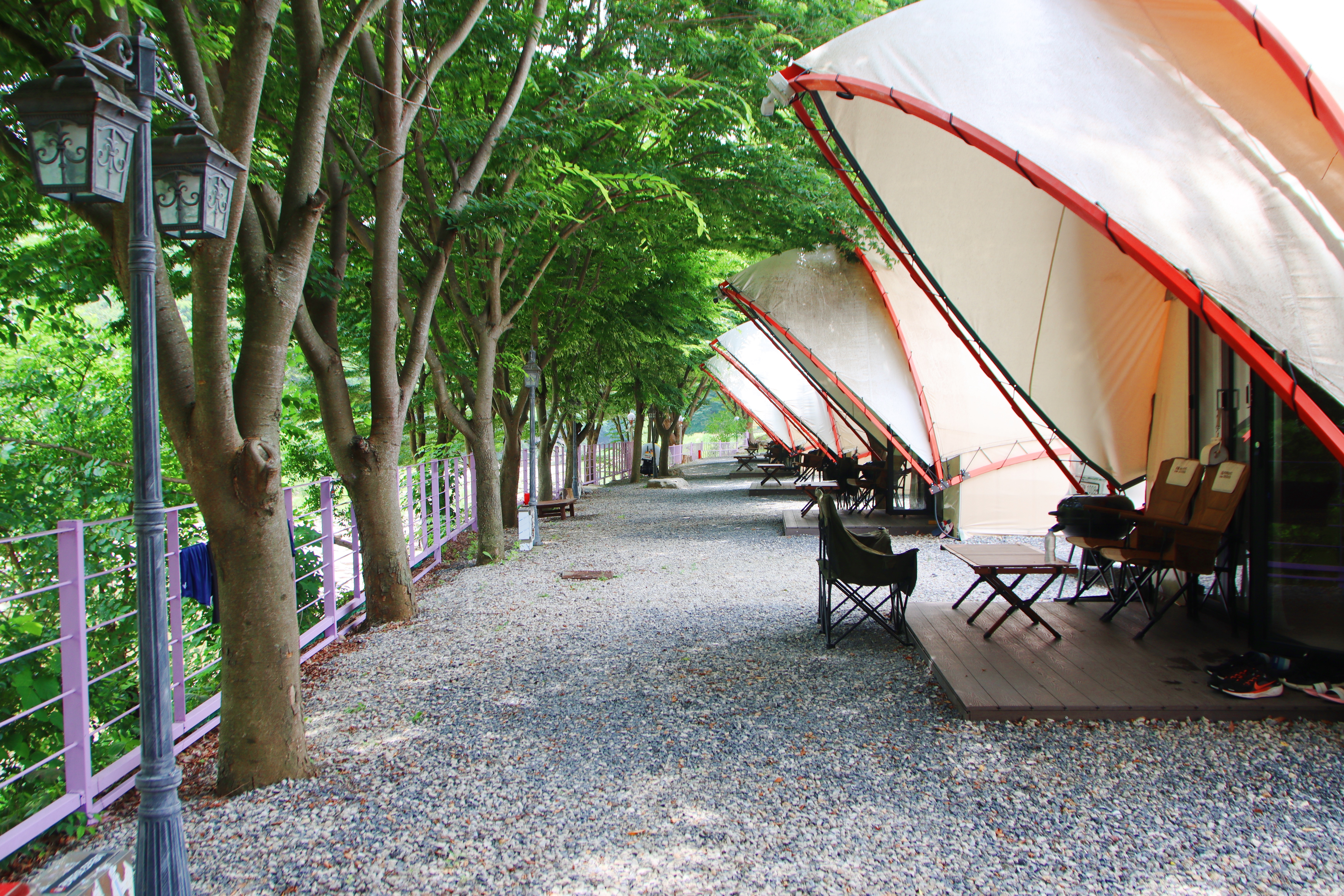 단양 글램핑&펜션 이미지