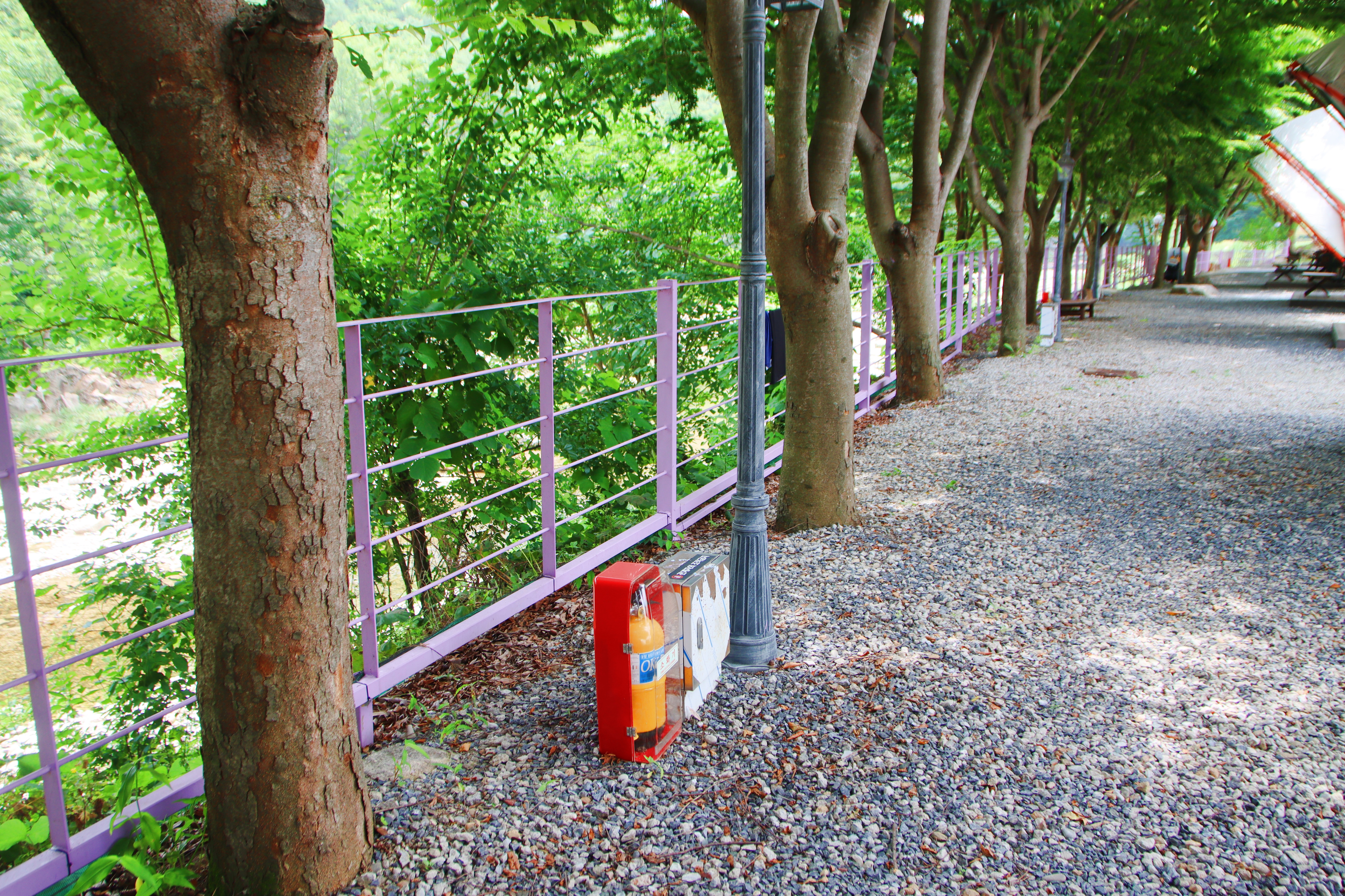 단양 글램핑&펜션 이미지