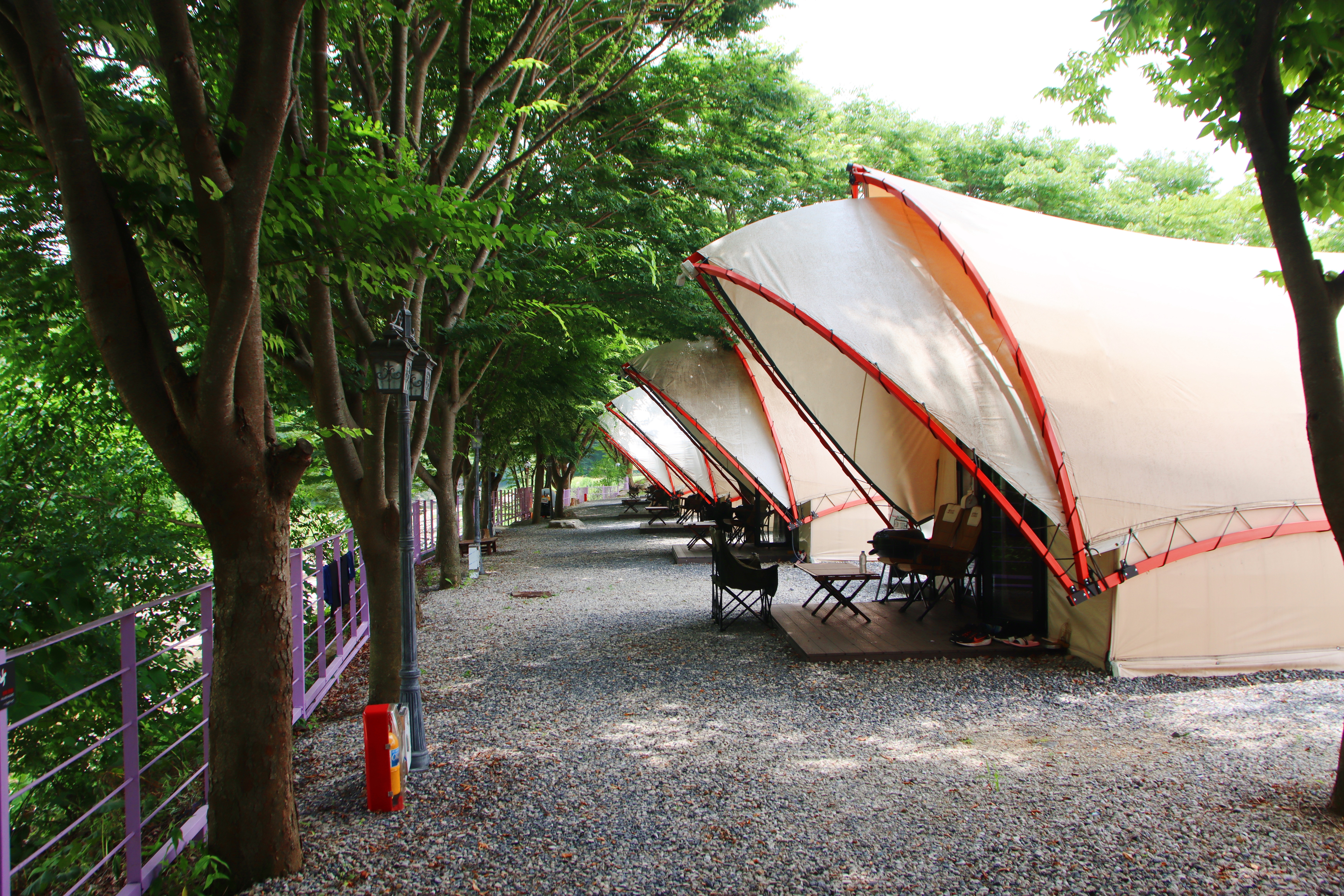 단양 글램핑&펜션 이미지