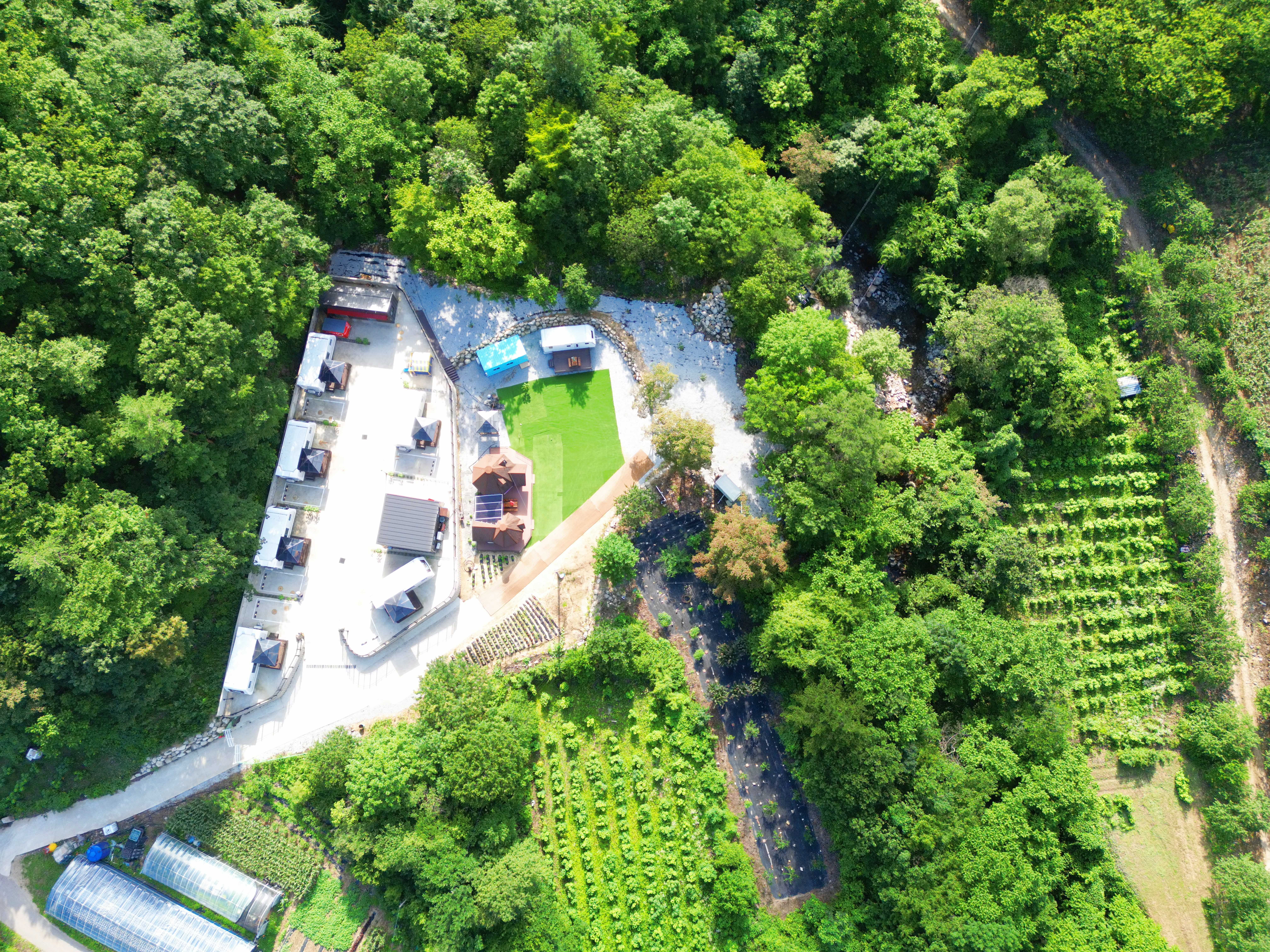 디뮤어 카라반 20번째 이미지