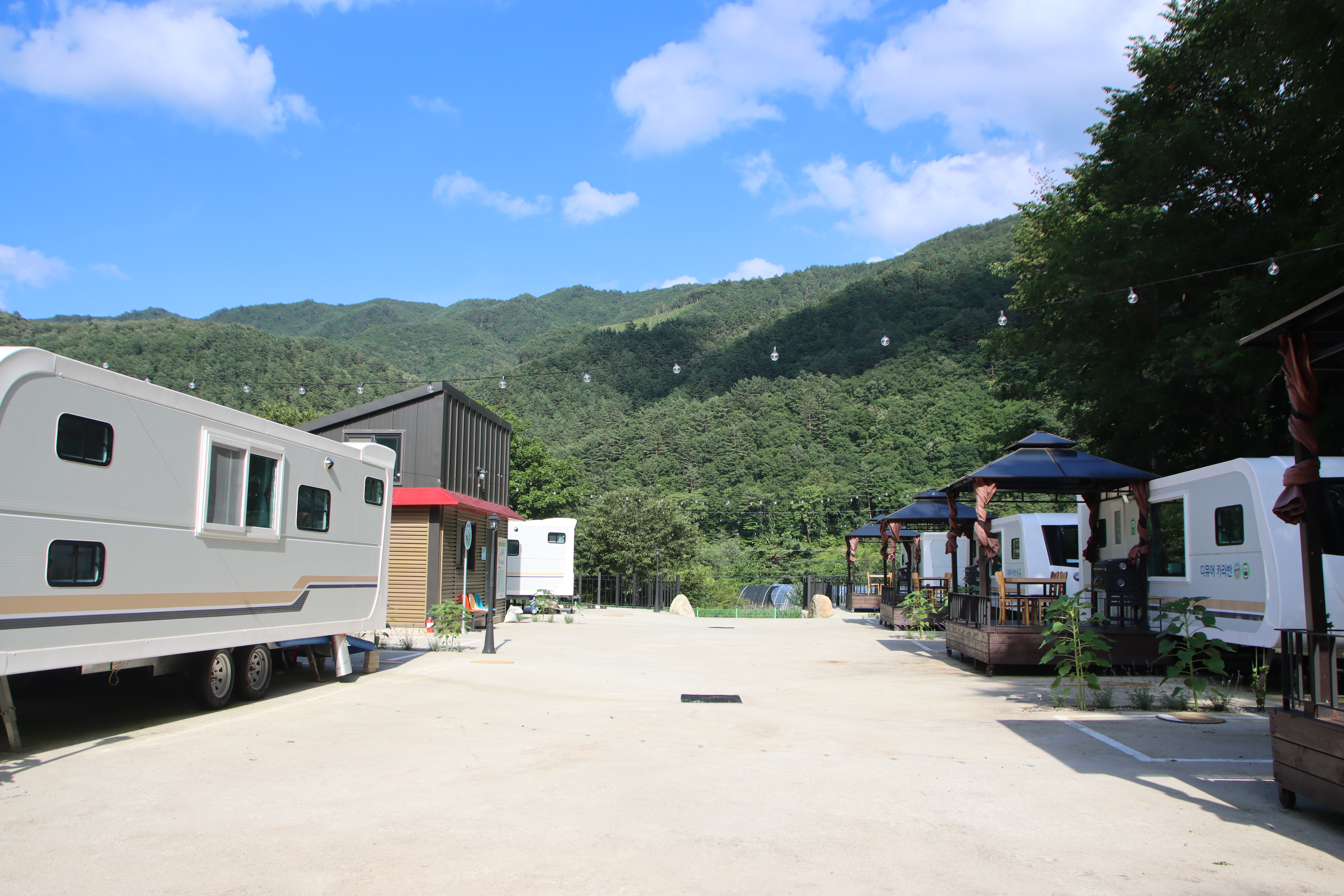 디뮤어 카라반 46번째 이미지