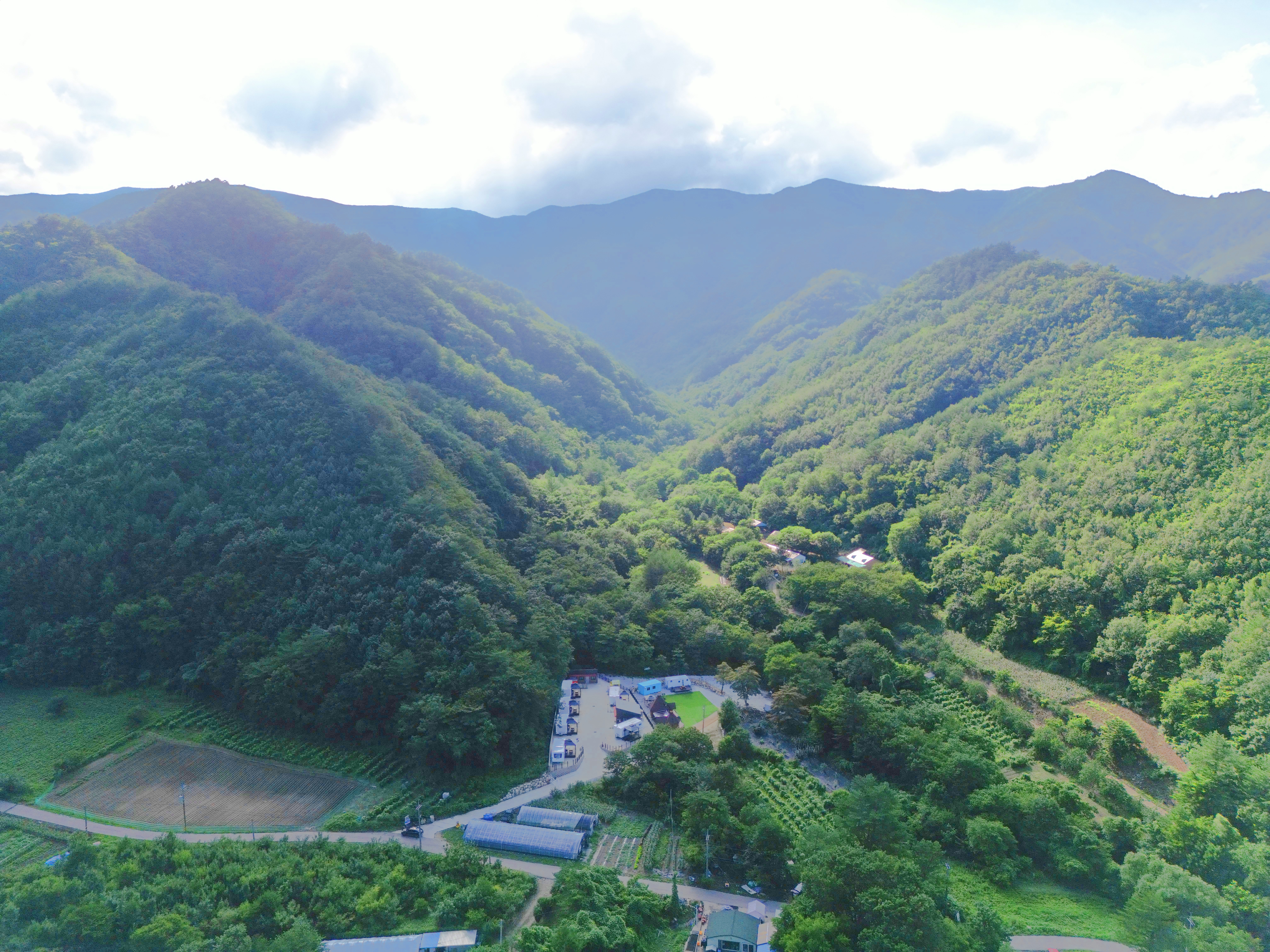 디뮤어 카라반 12번째 이미지