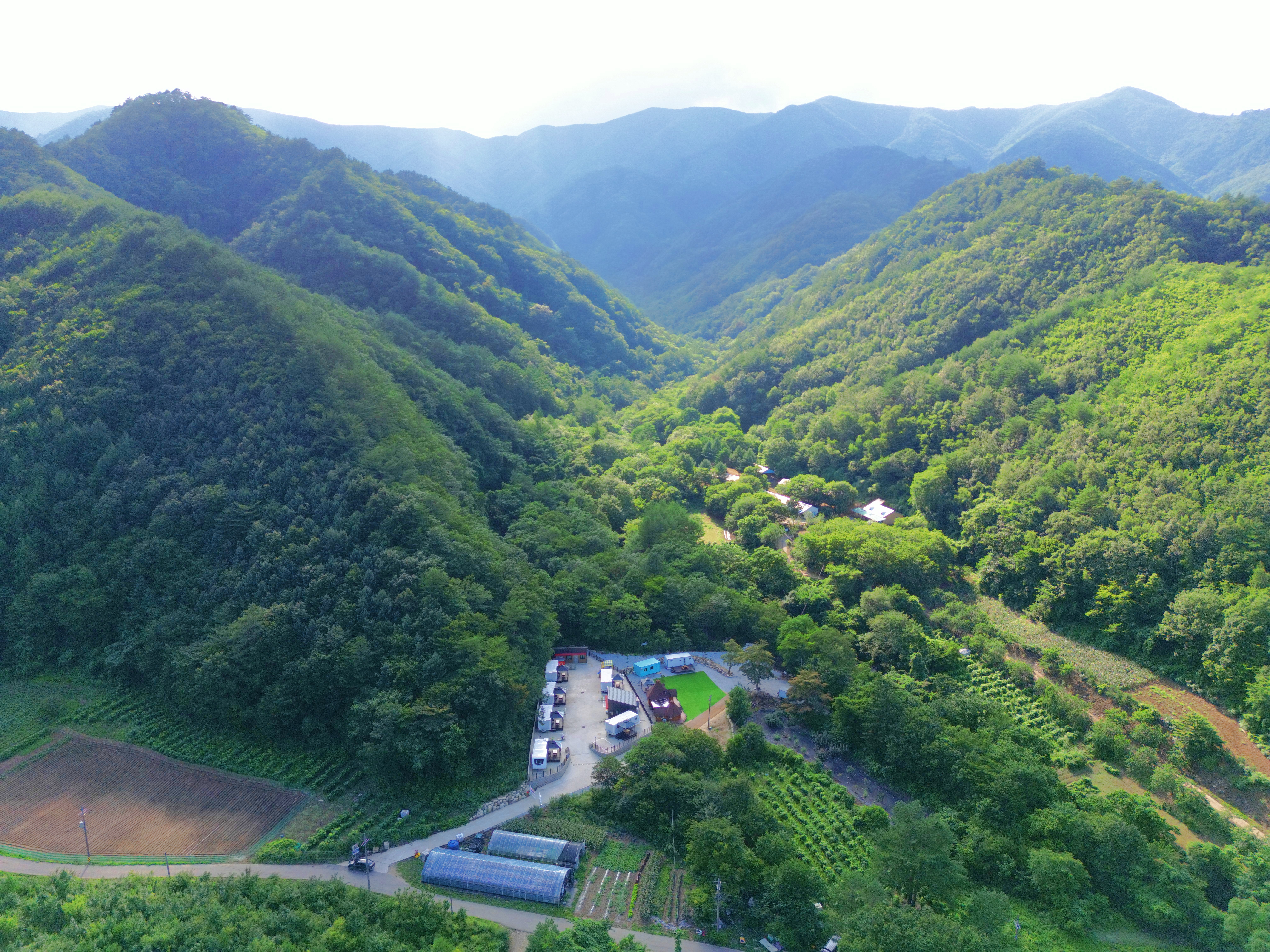 디뮤어 카라반 16번째 이미지