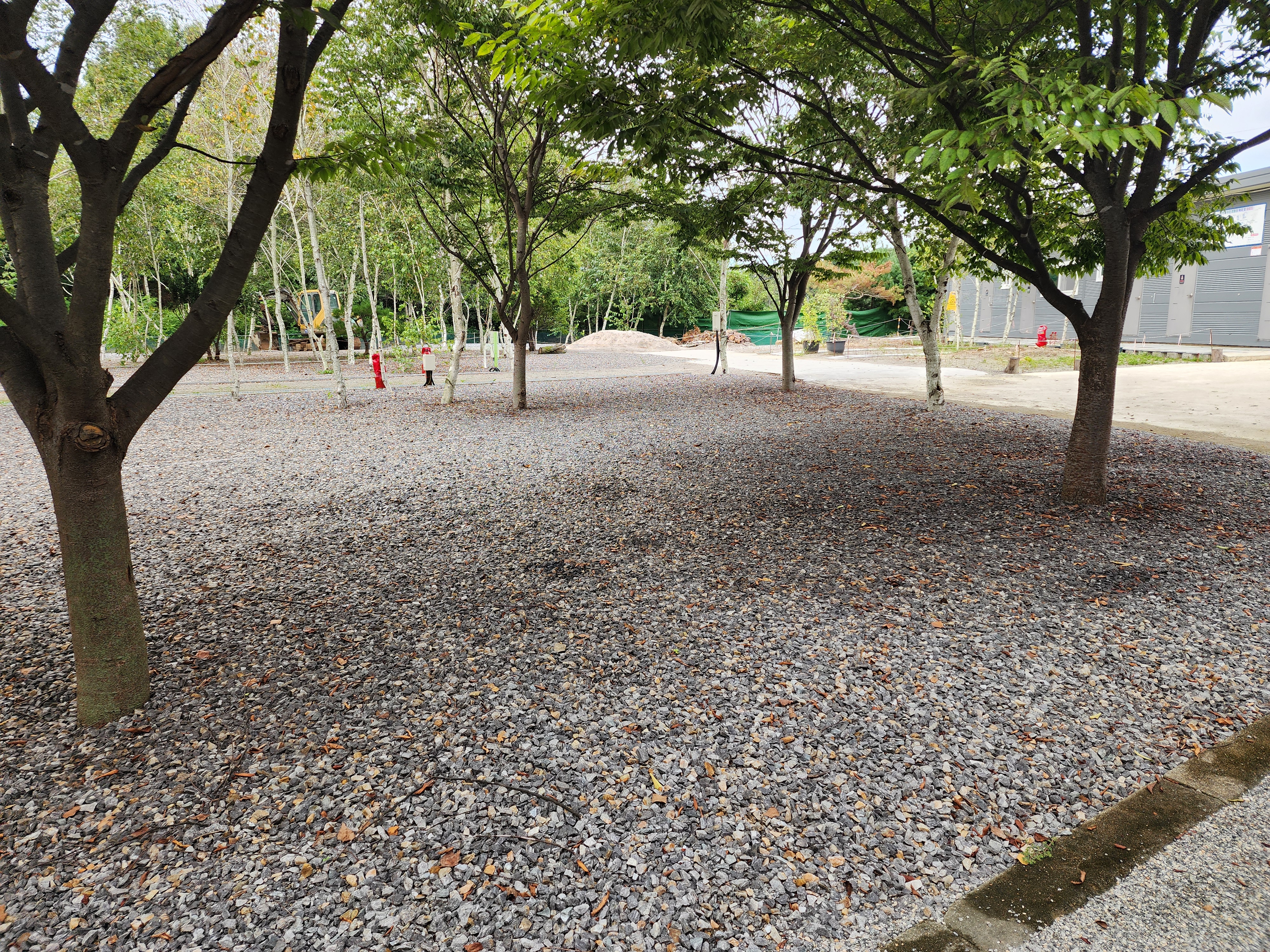 나무와 쉬리 이미지