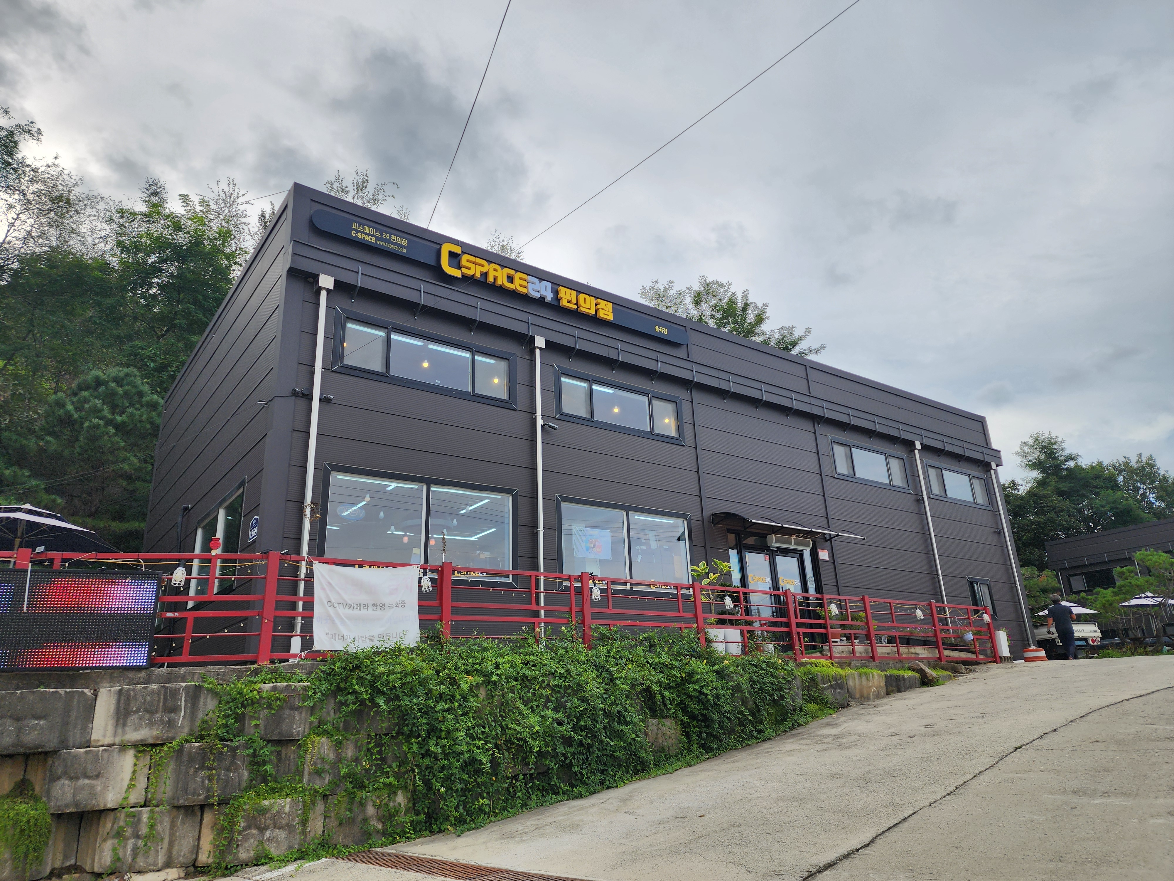 나무와 쉬리 이미지