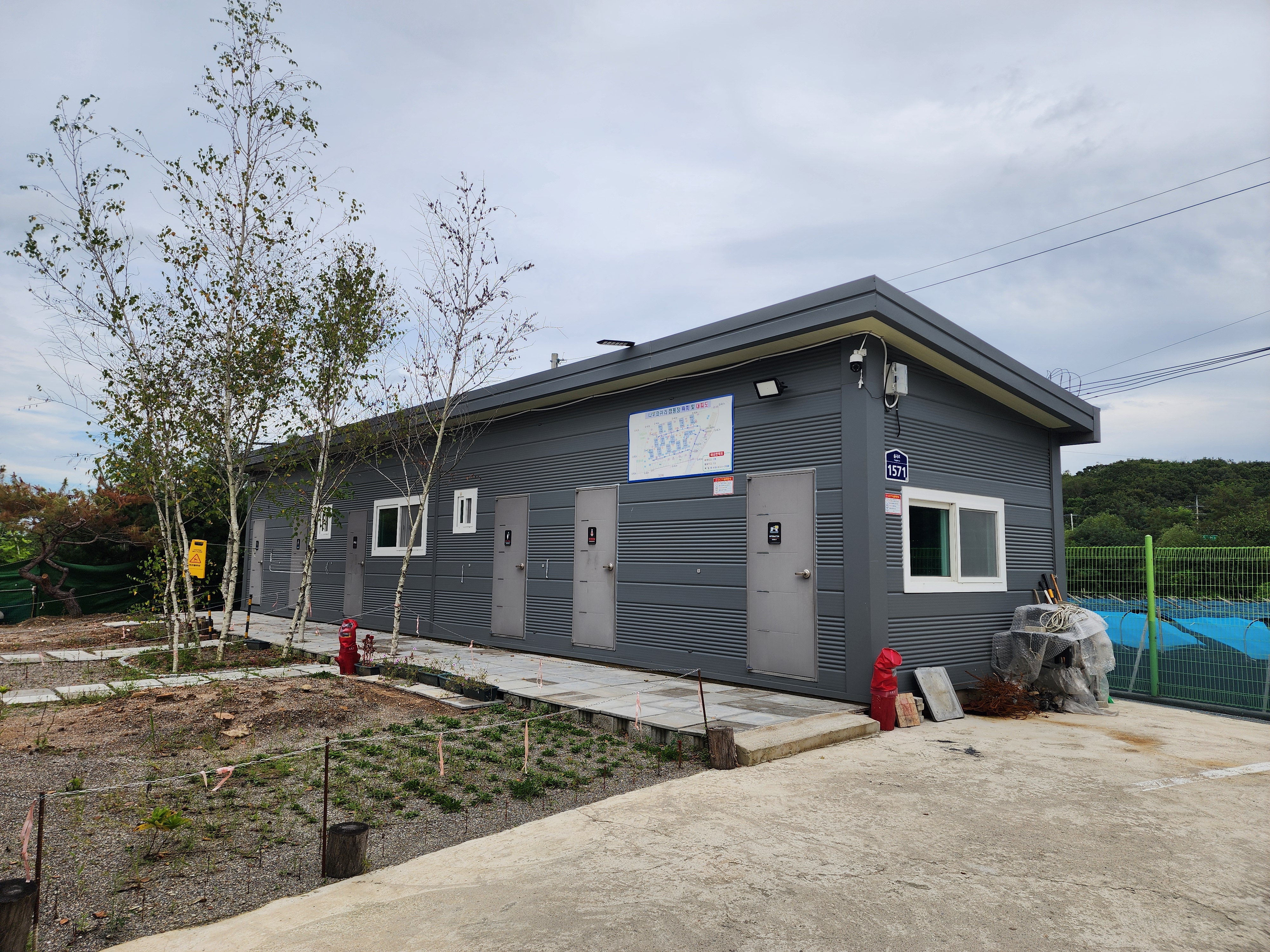 나무와 쉬리 이미지