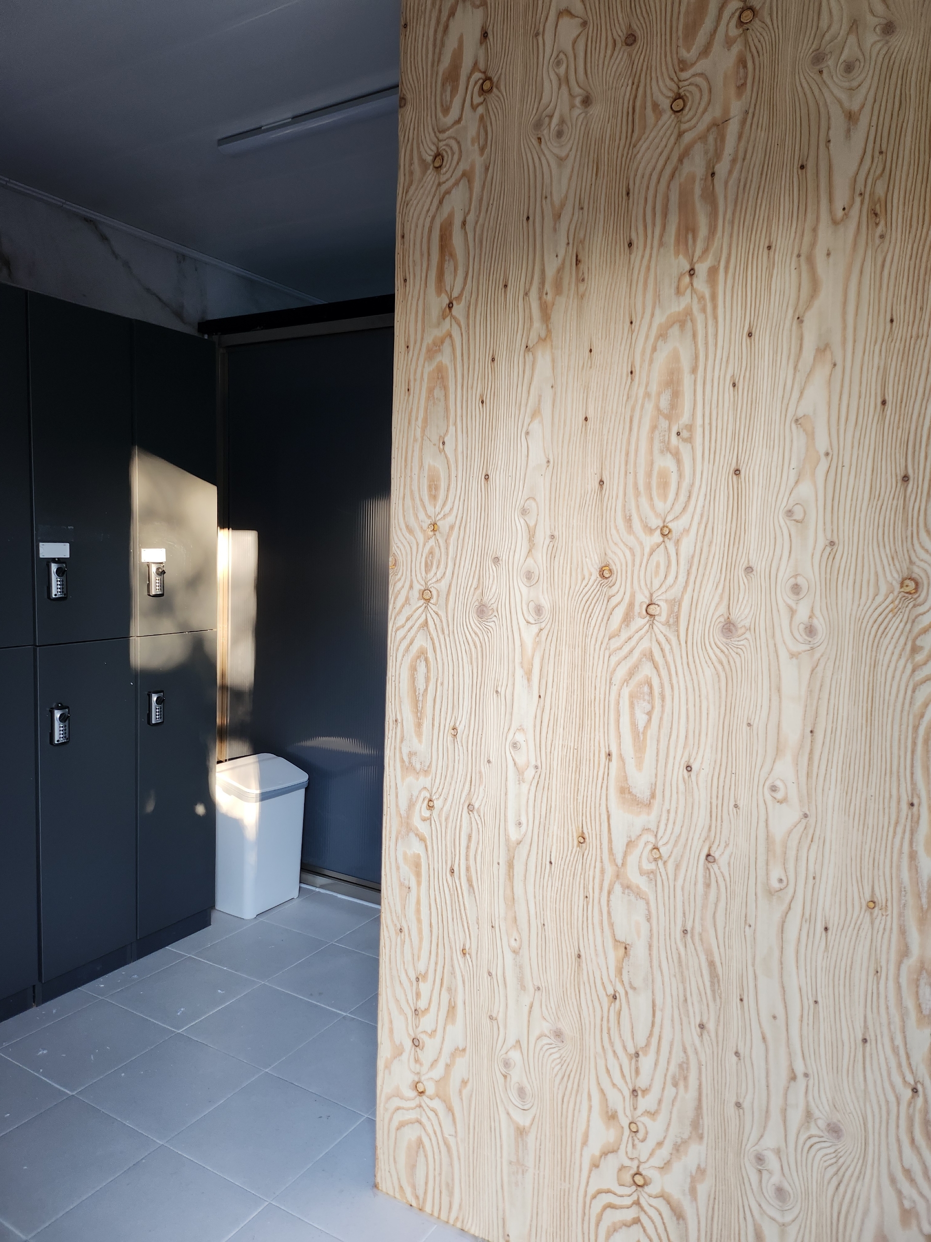 나무와 쉬리 이미지