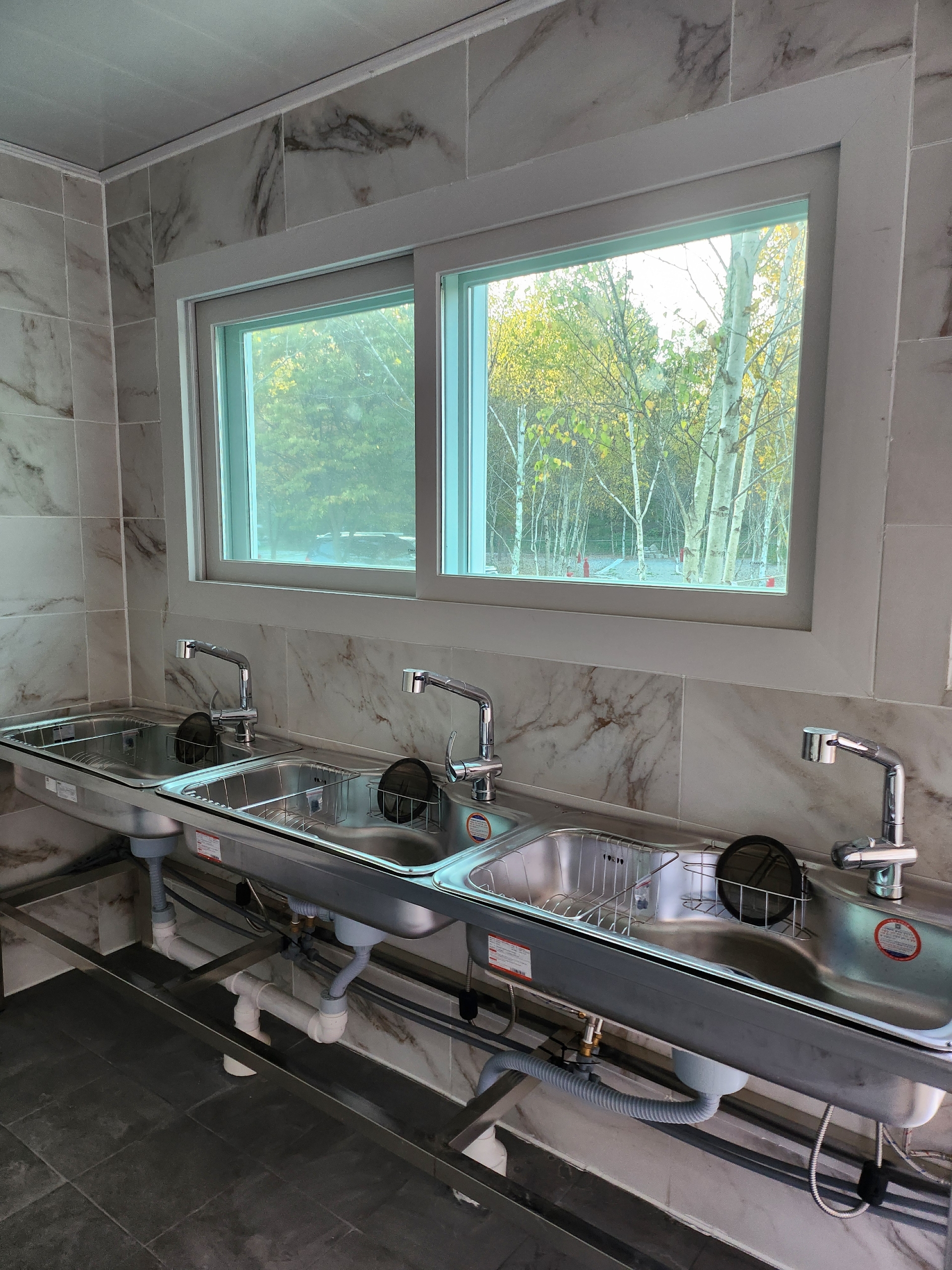 나무와 쉬리 이미지