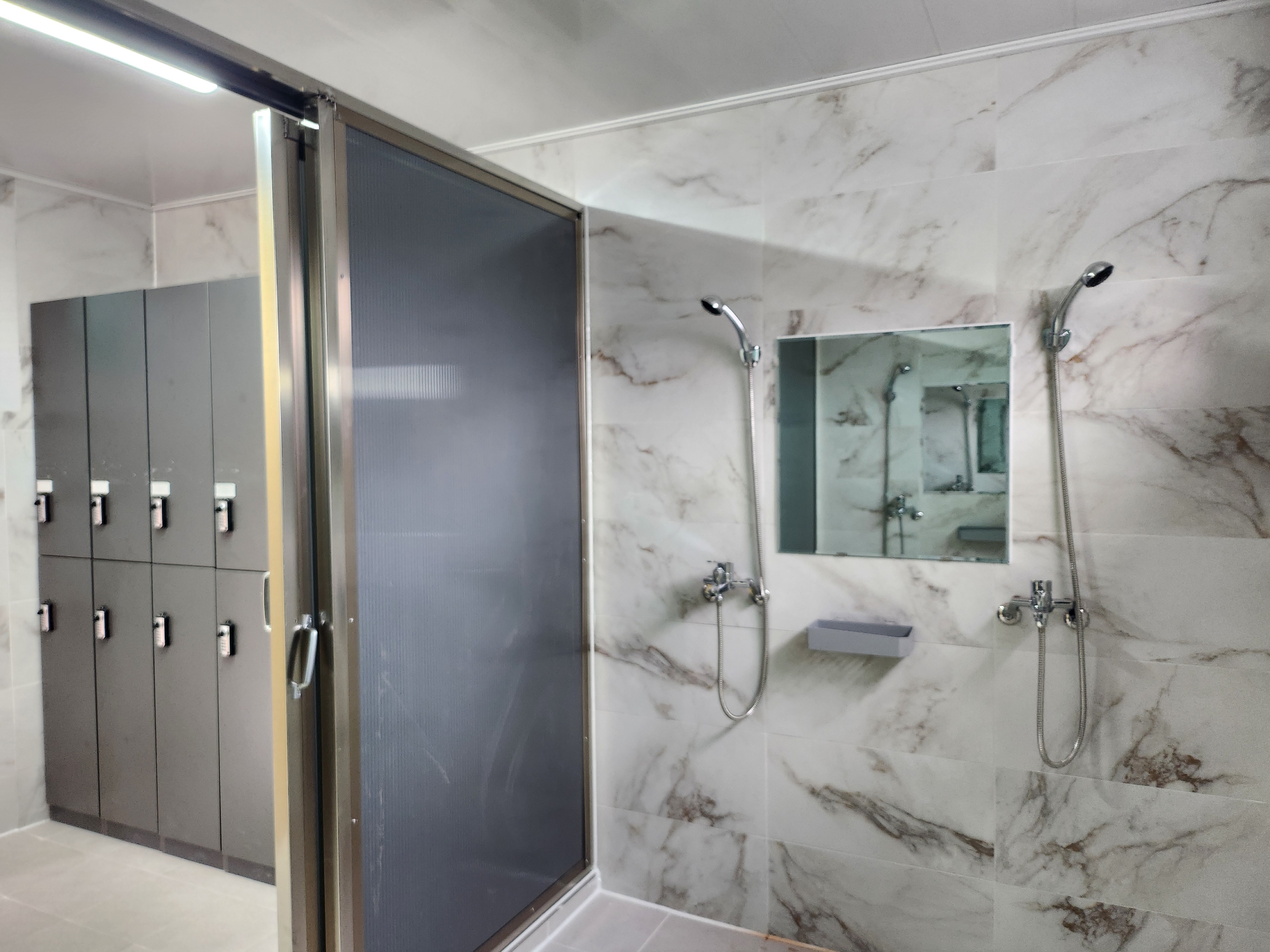 나무와 쉬리 이미지