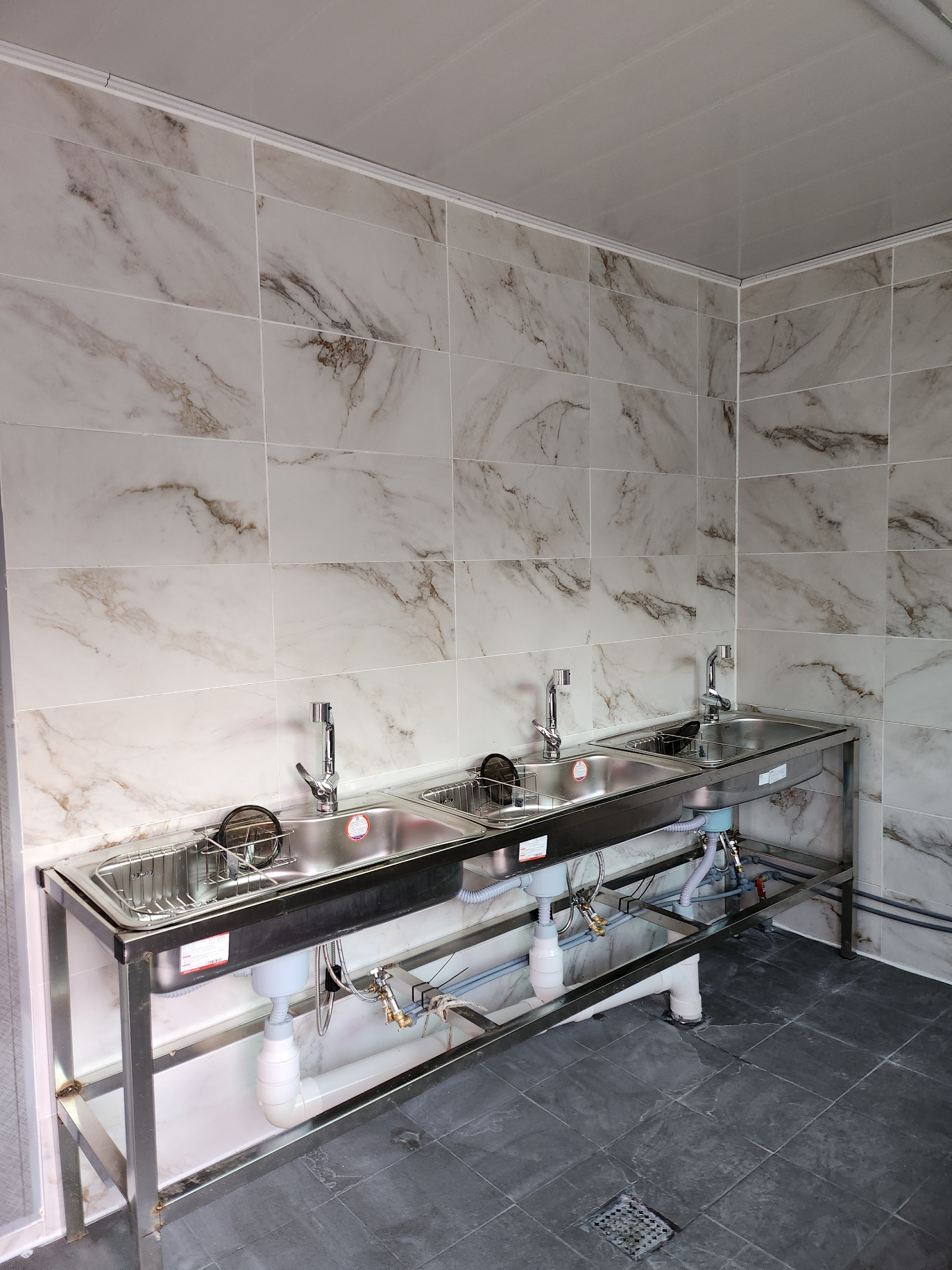 나무와 쉬리 이미지