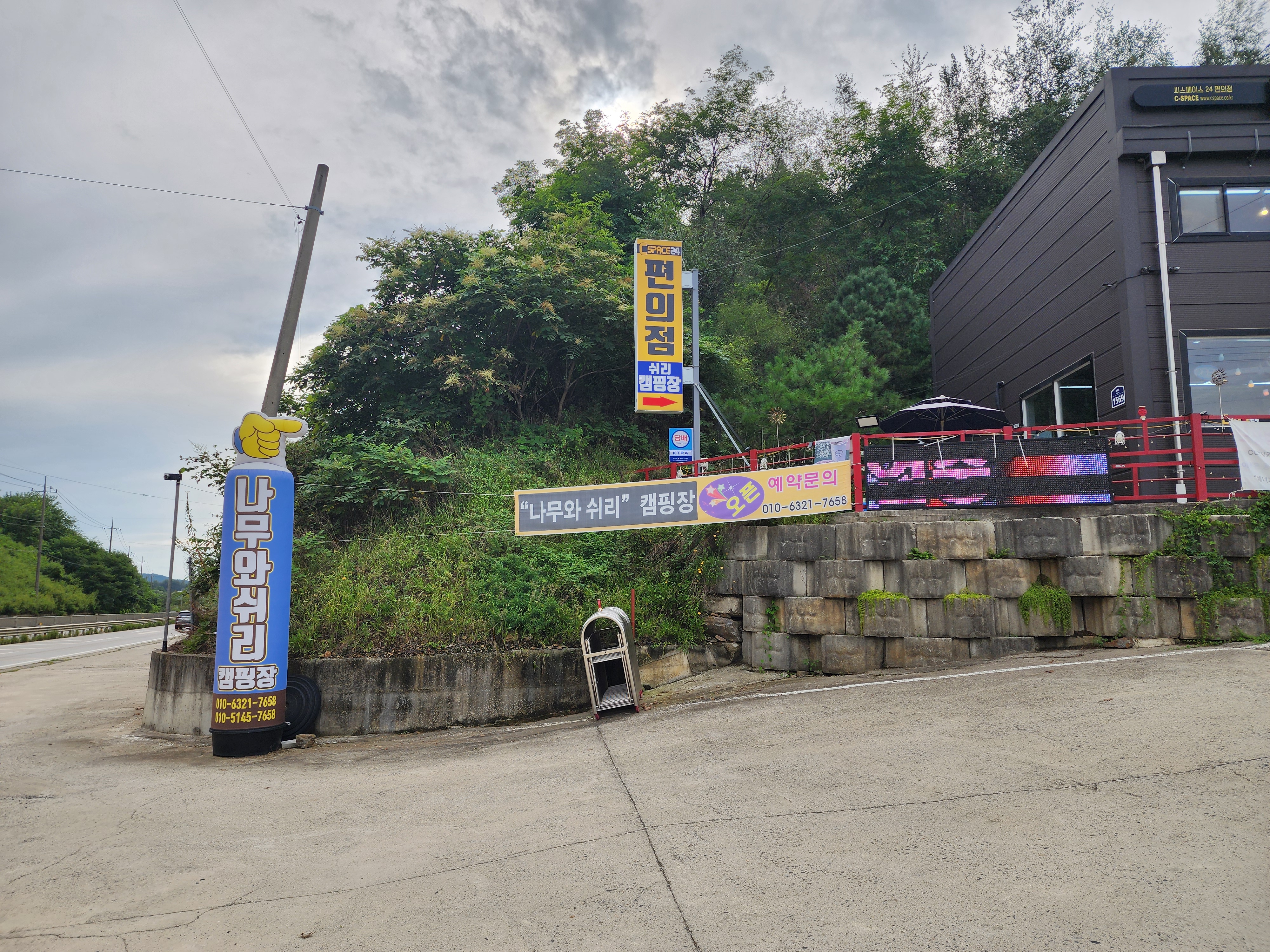 나무와 쉬리 이미지